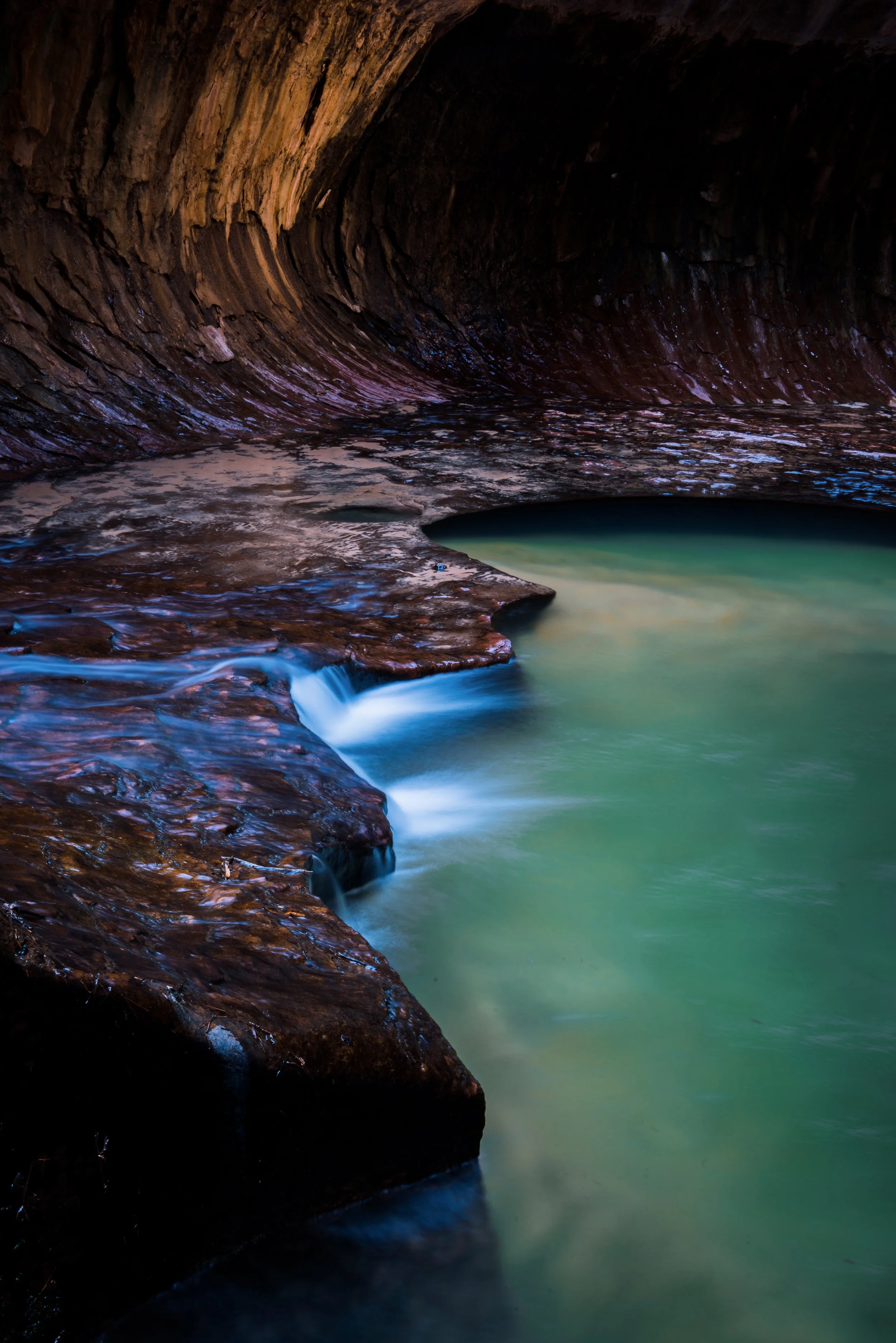   The Wind Blower  | Zion National Park 