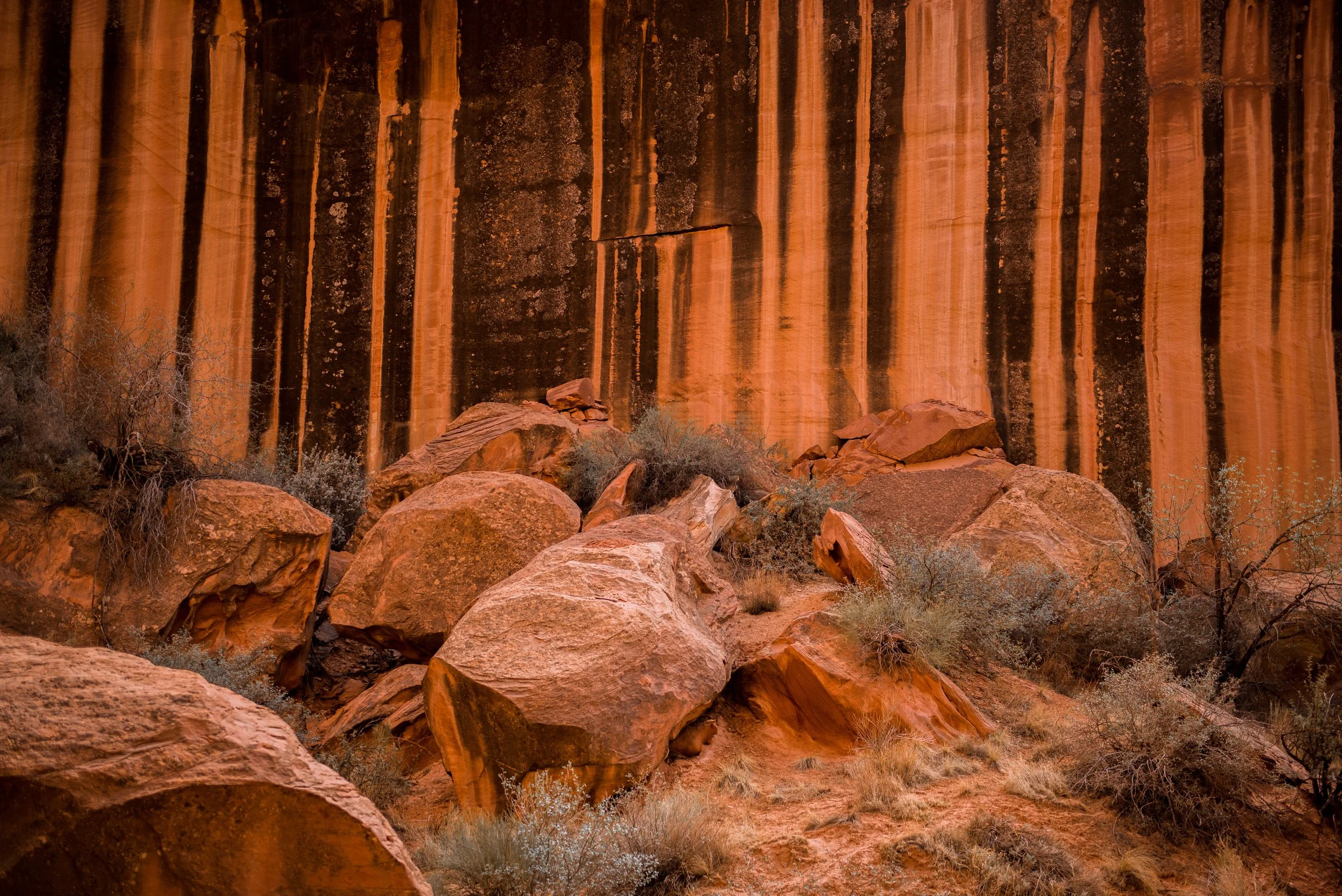   Canyon Stripes  | Capitol Reef National Park 