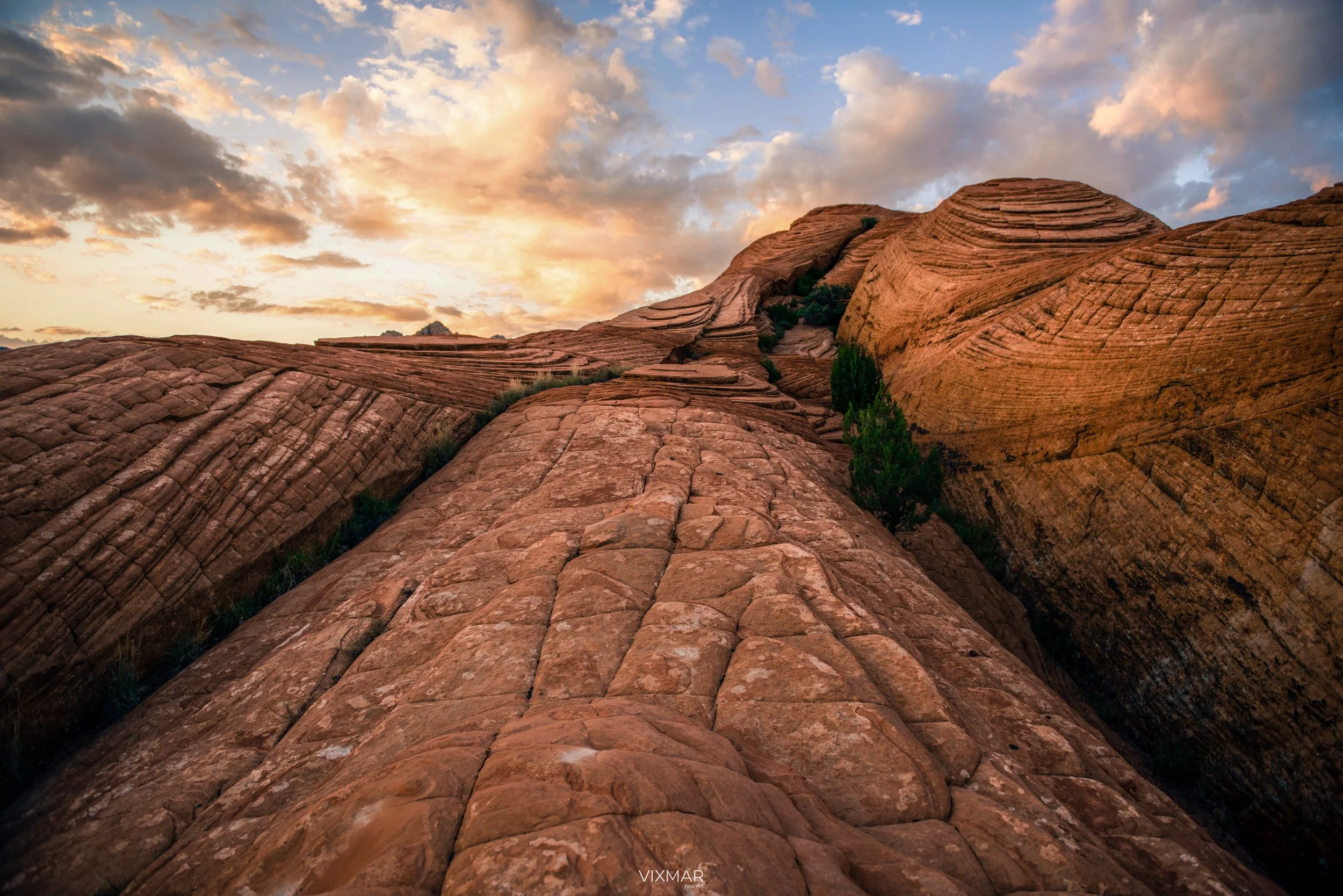   Petrified Dunes  | Utah 