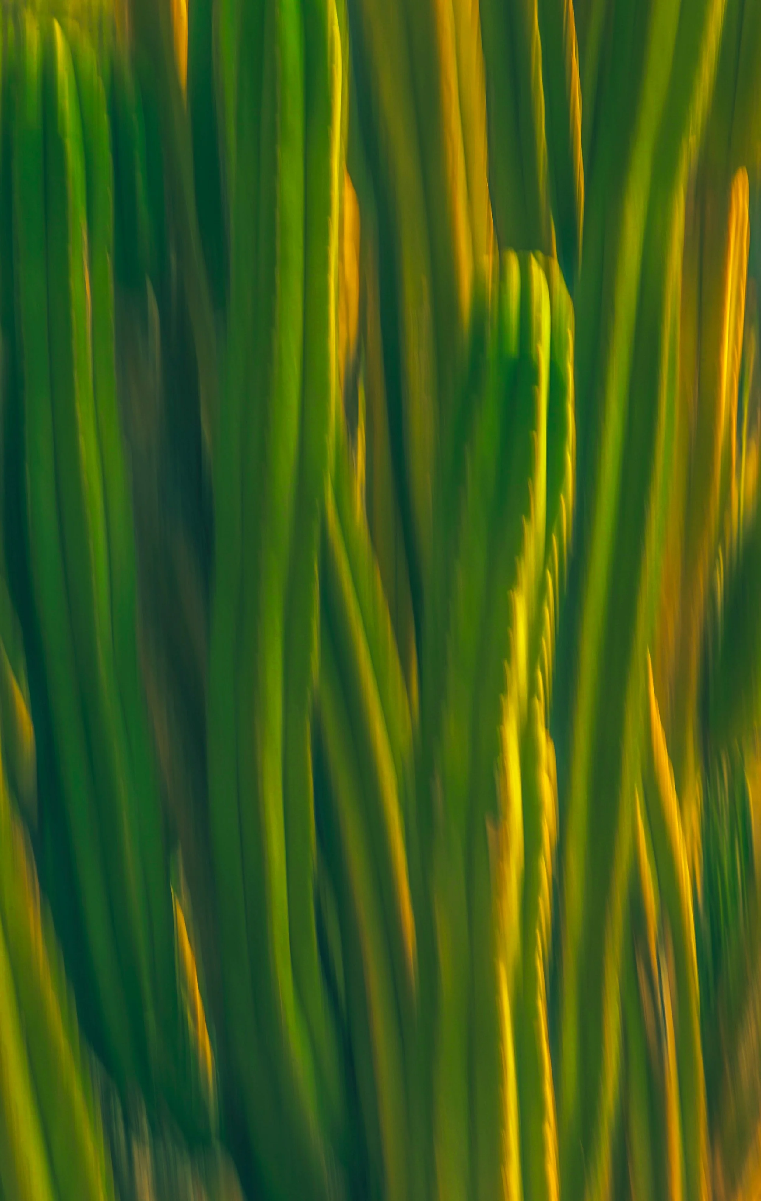 ABSTRACT