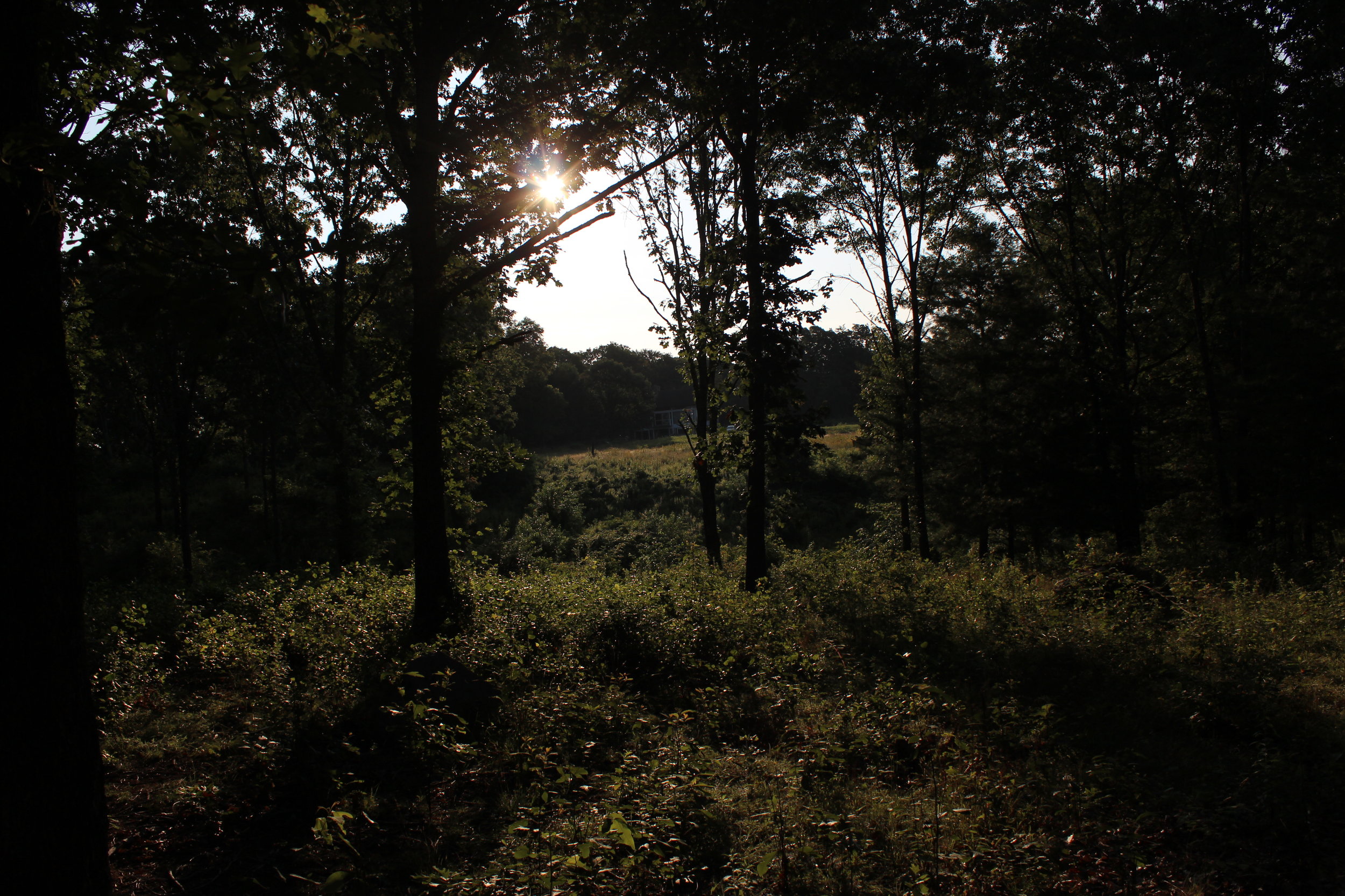 a feeling that was foreign to me