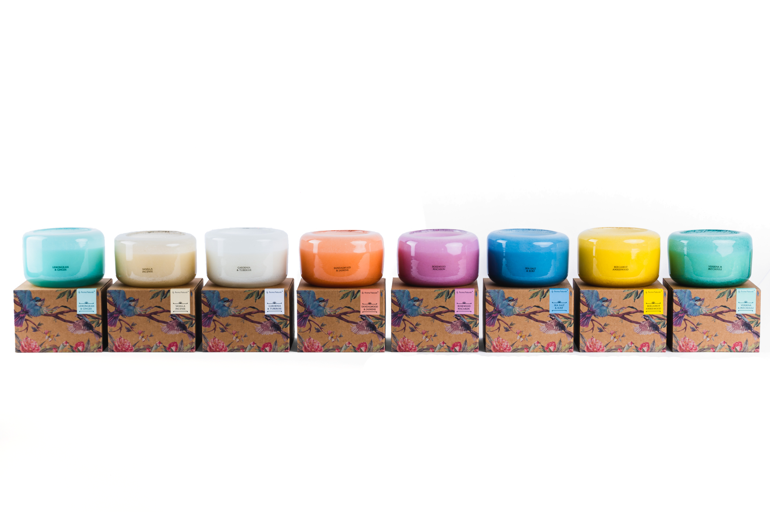 LMF_2596 copy.png