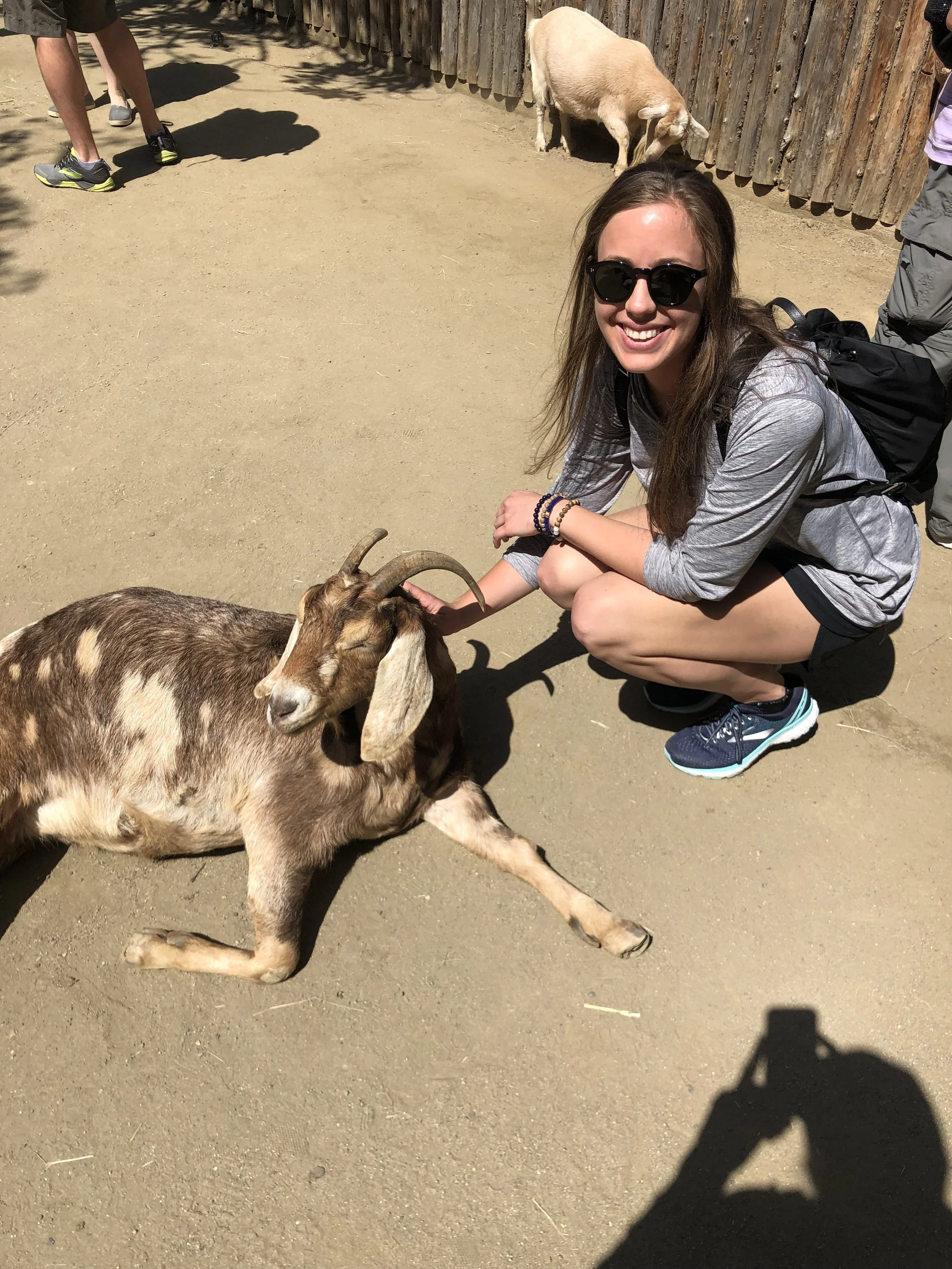 Goat whispering to fill the dog-shaped hole in my heart (Butter I’m sorry you had to see this).