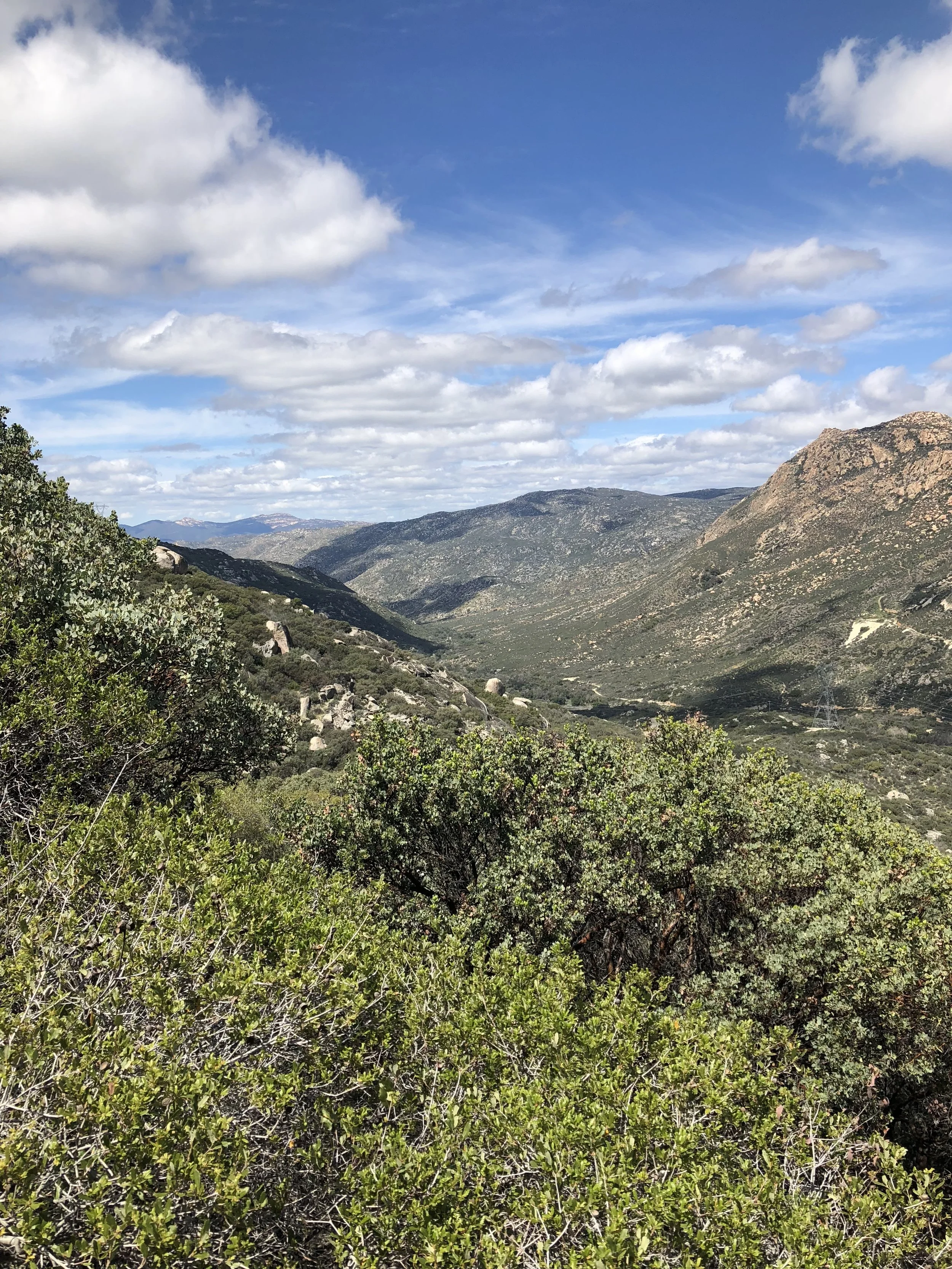 Day 1 - campo to lake morenA