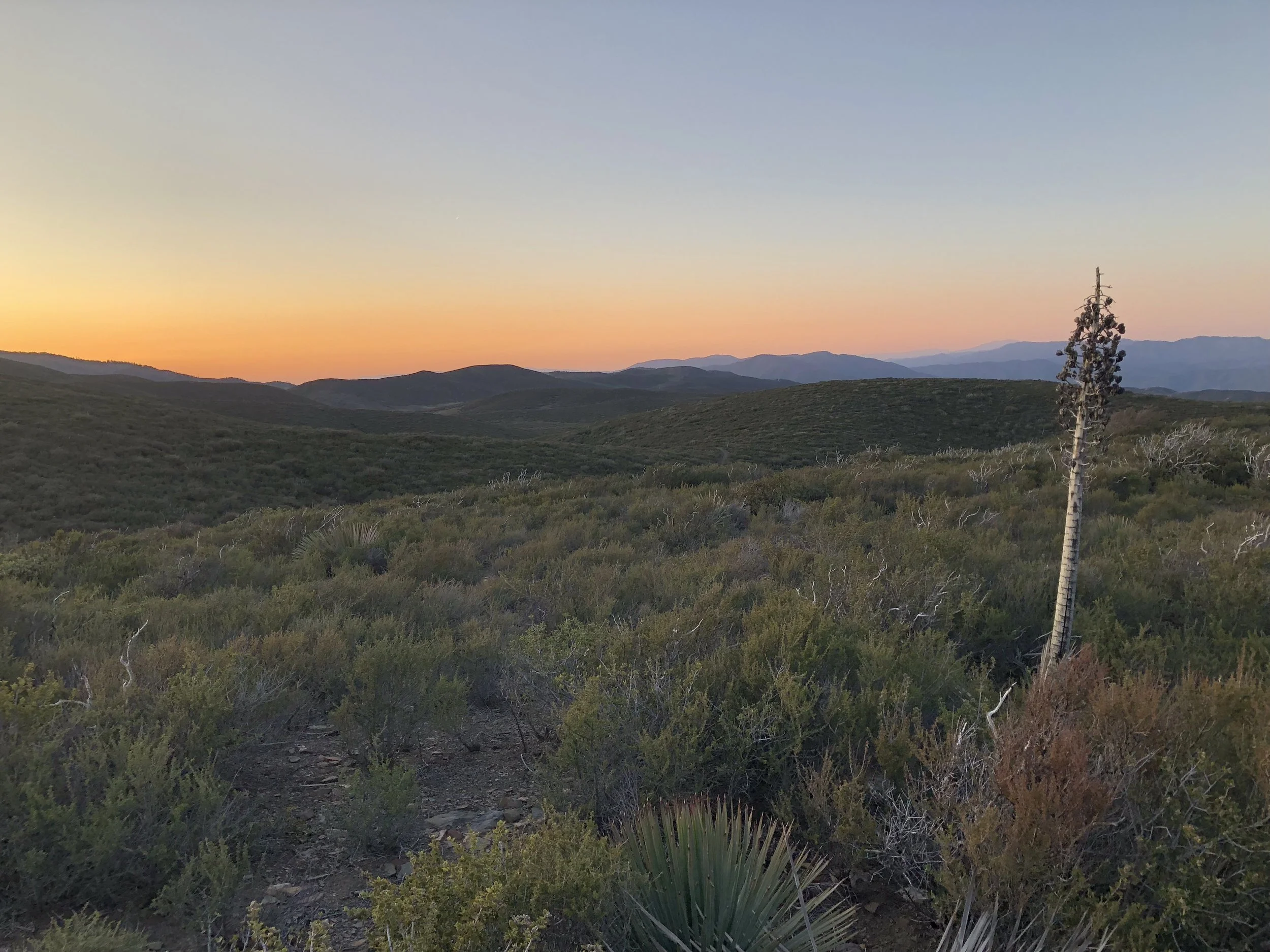 Day 3 - mount laguna to sunrise trailhead junction