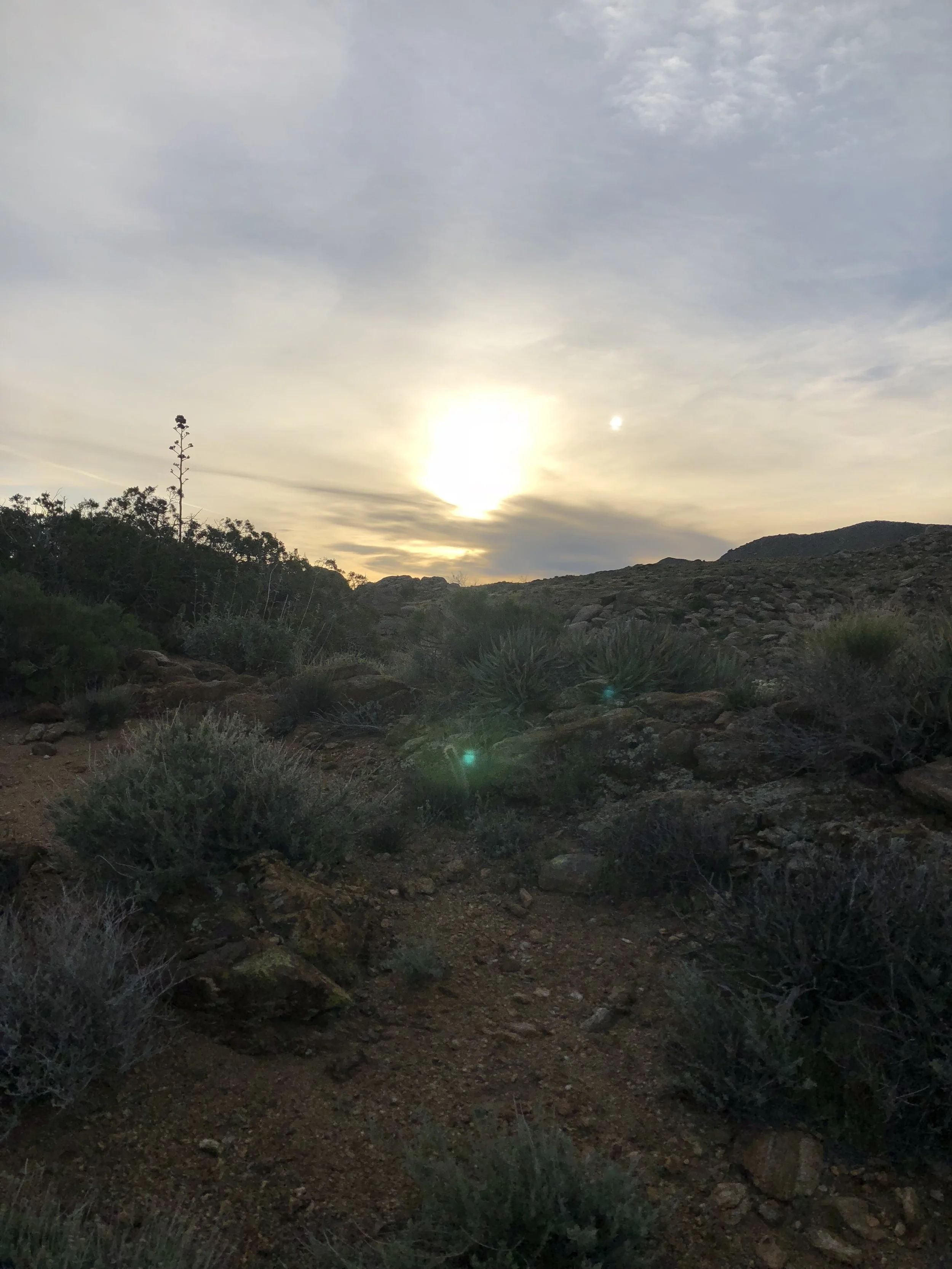 IMG_8963.jpeg