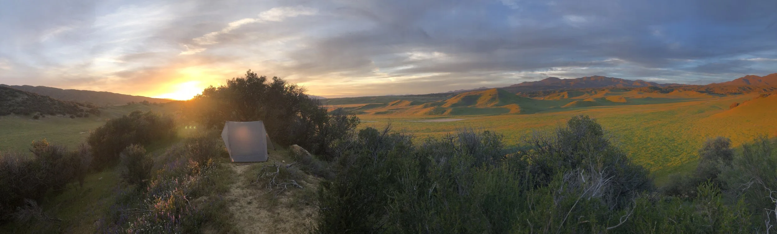 Day 5 - San felipe hills to warner spRings meadoWs