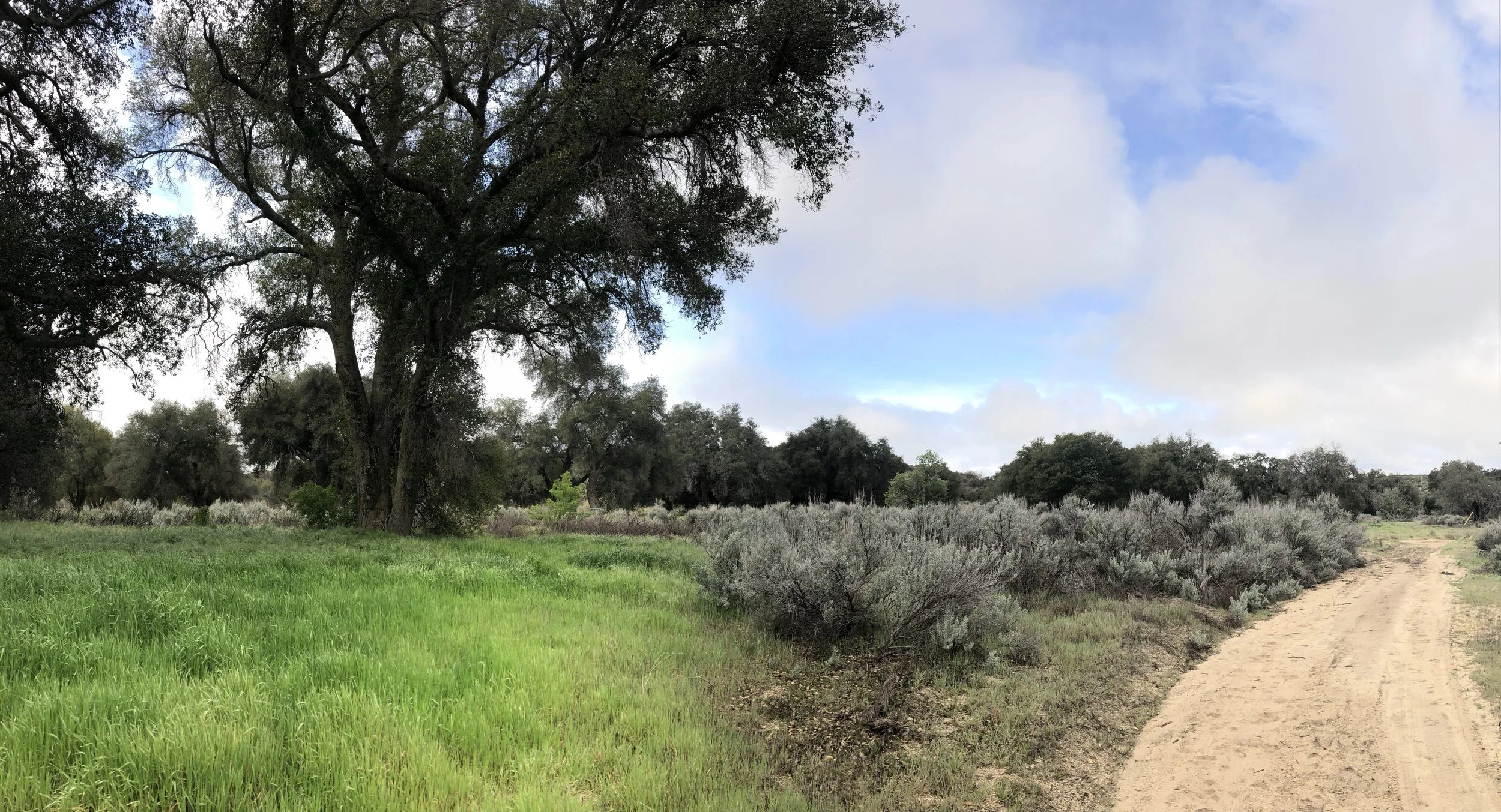 Day 7 - warner springs to somewhere In anza-borrego