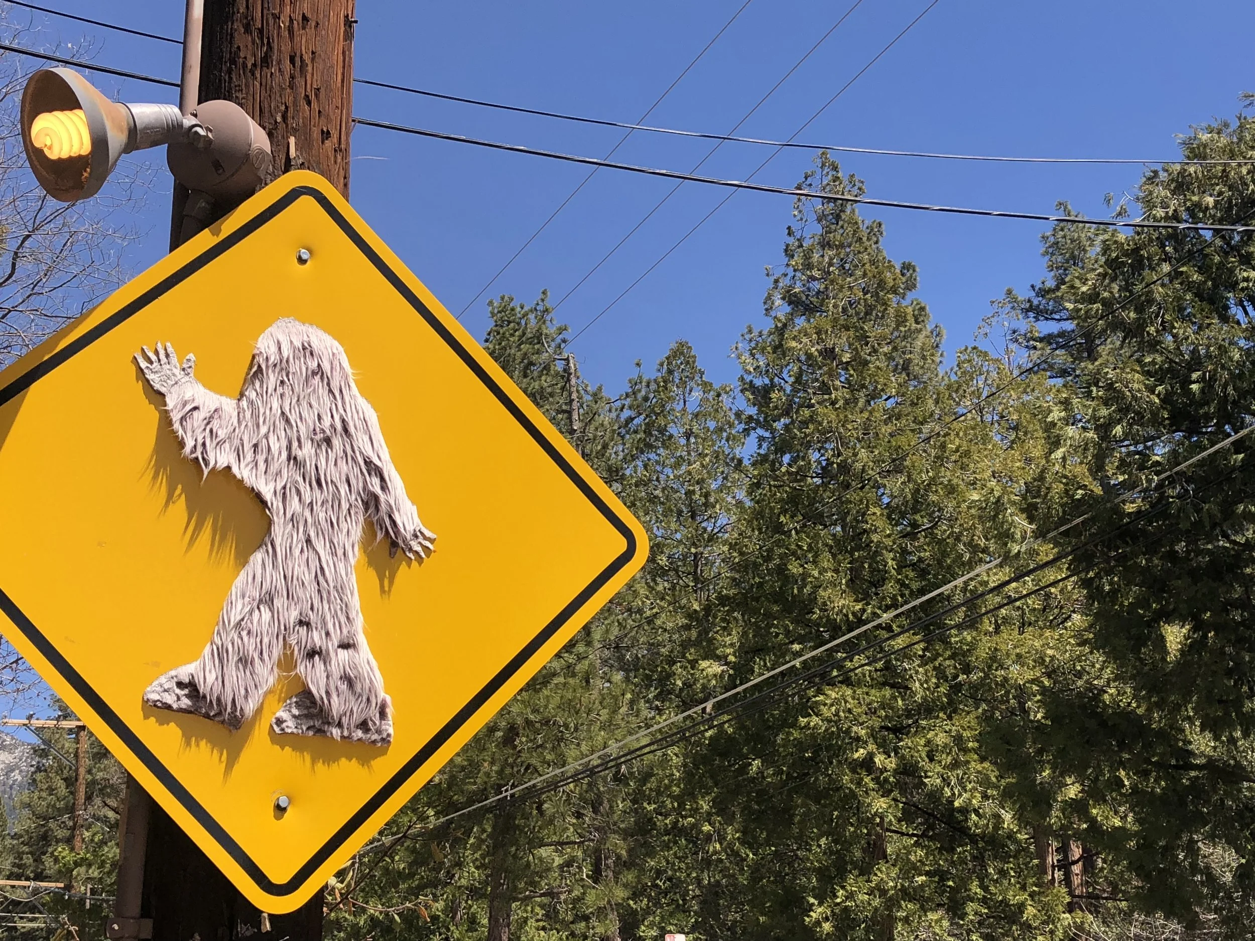 Days 10 & 11 - double Zero in Idyllwild