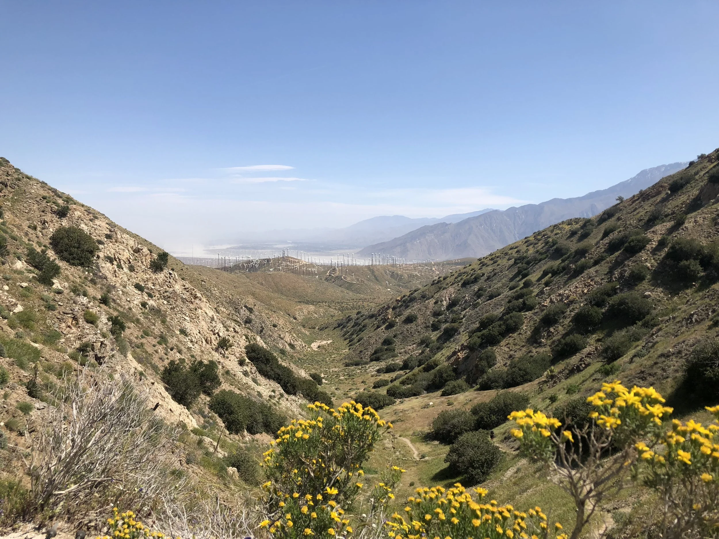 IMG_9262.jpeg