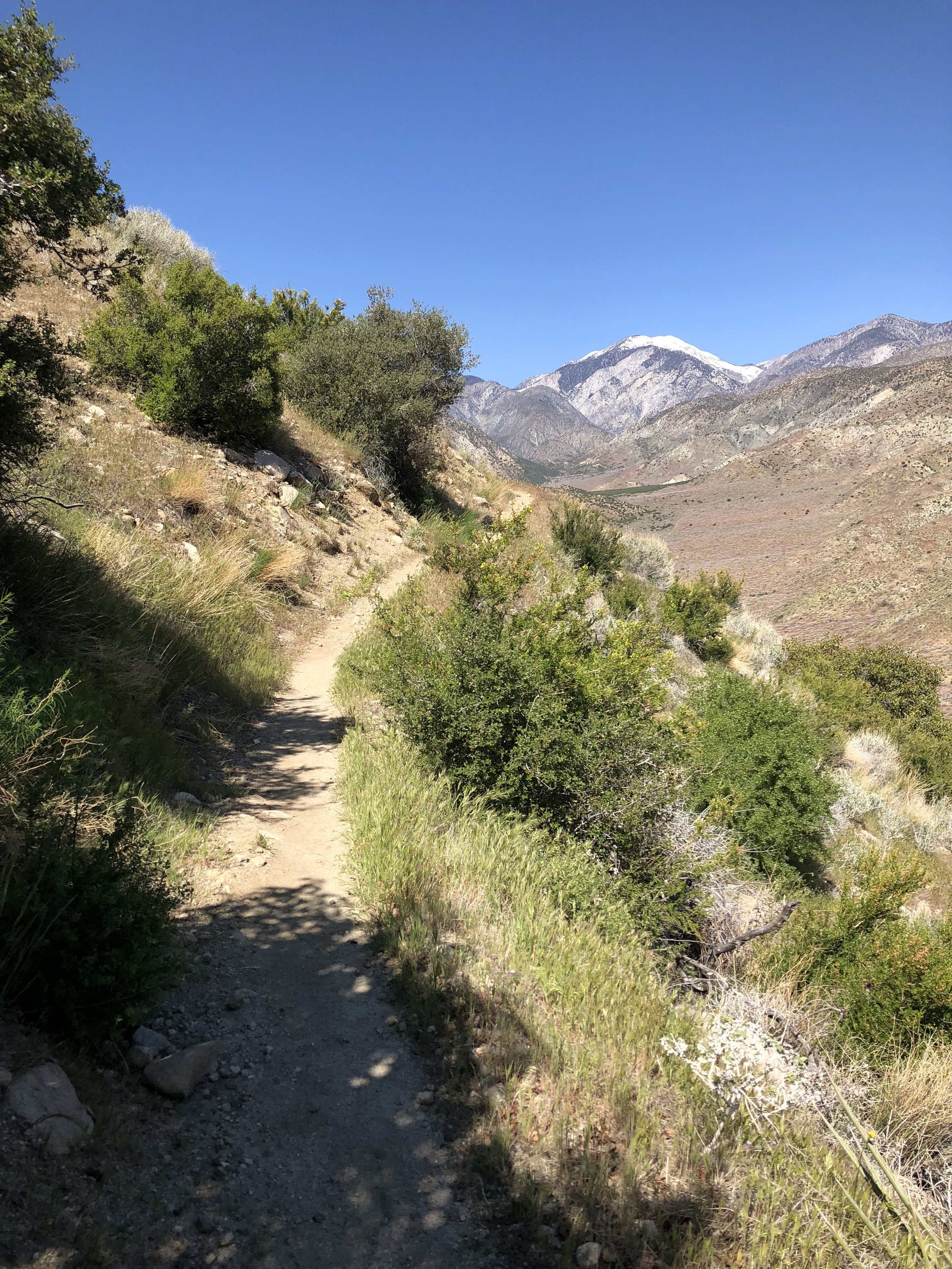IMG_9297.jpeg