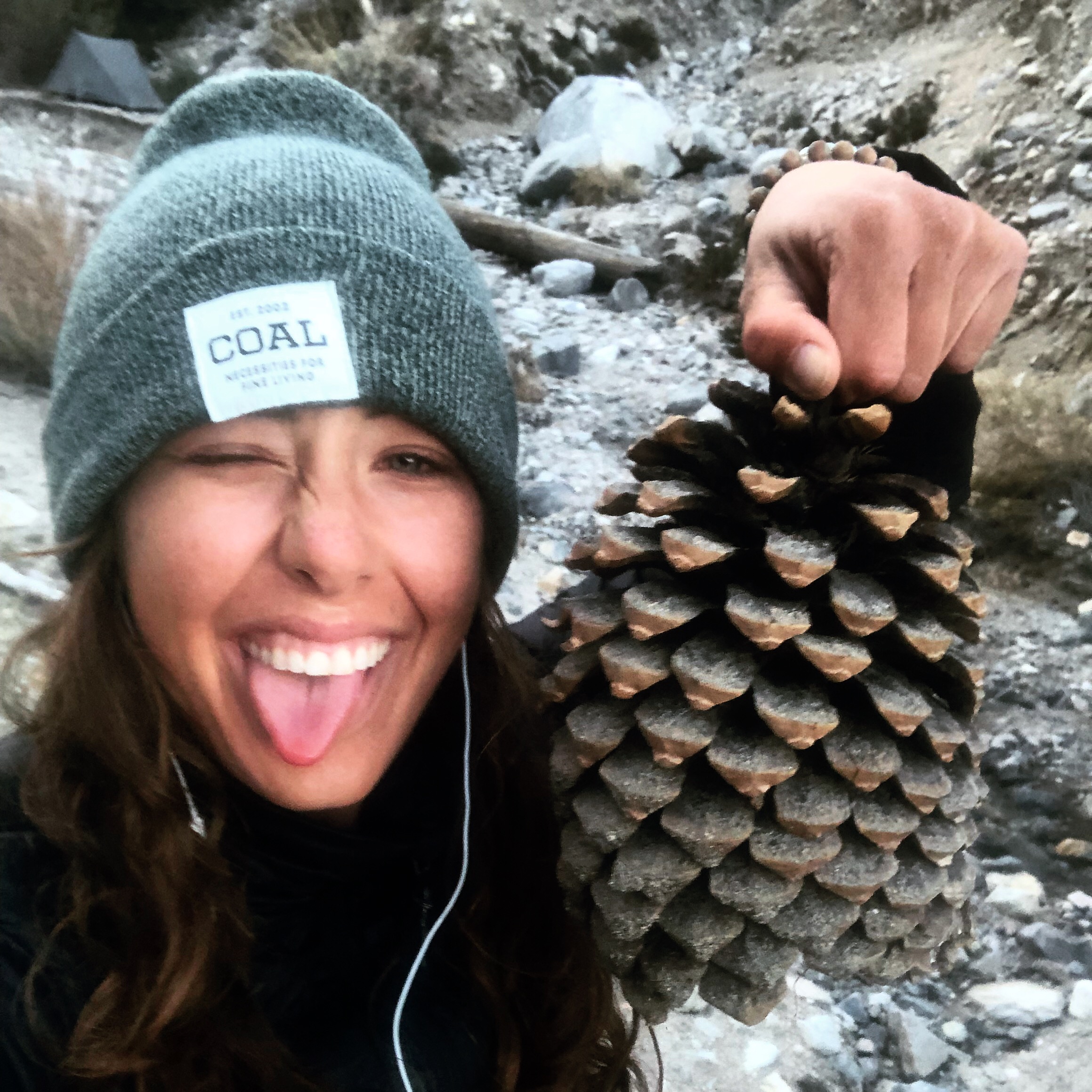 7D393569-3AC1-4F06-AC1C-EB6FBDF5C05D.jpeg