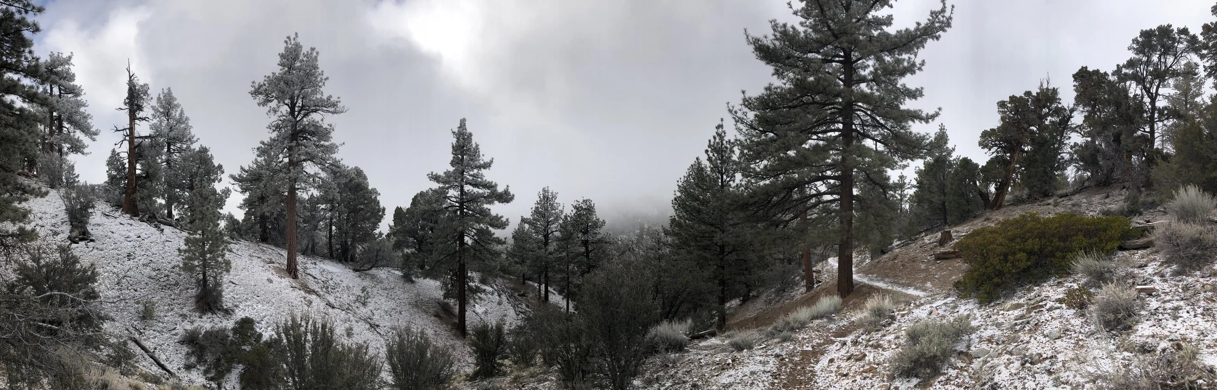 Day 16 - near highway 38 to big bear lake