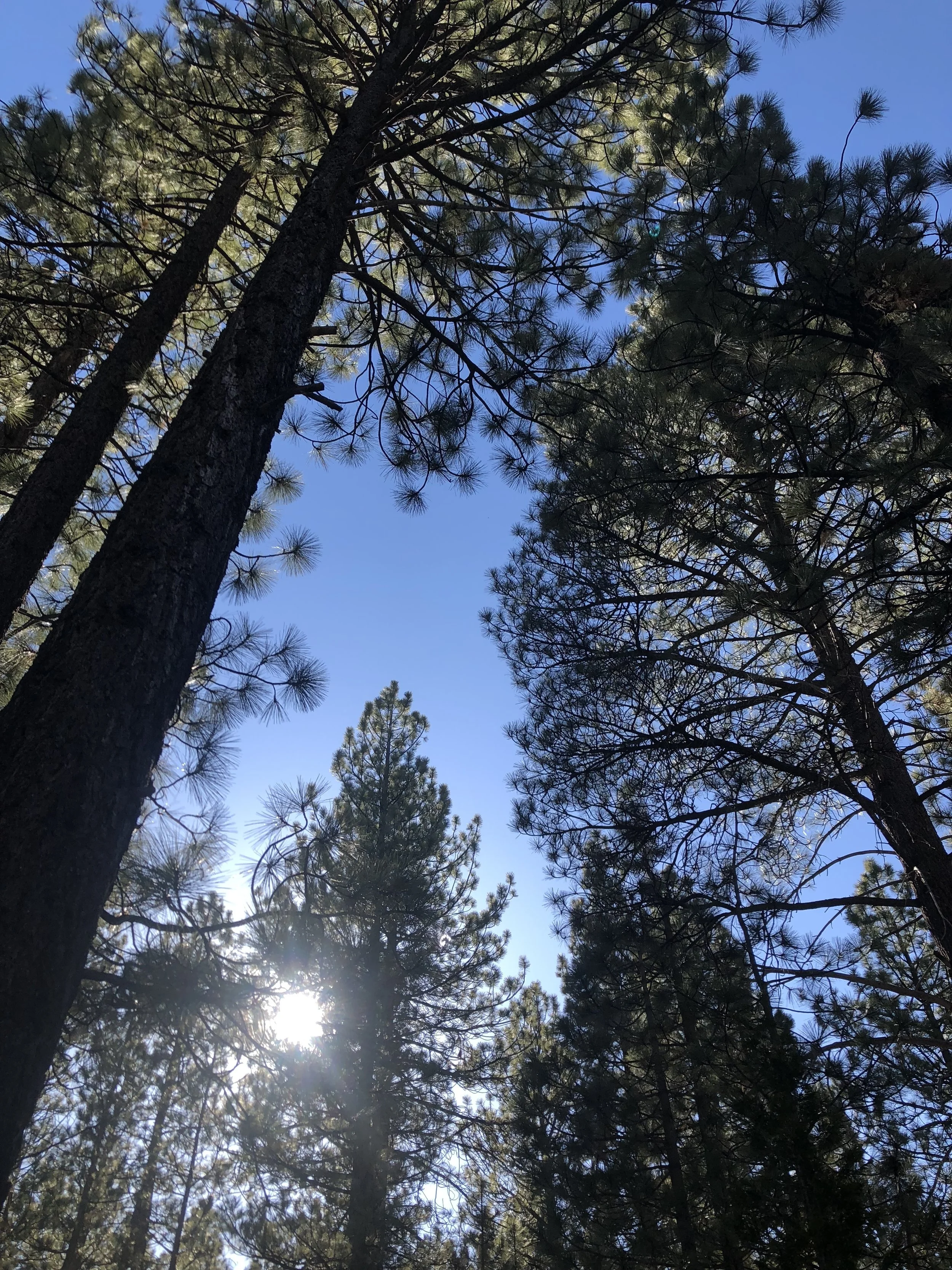 Day 17 - zero in big beAr