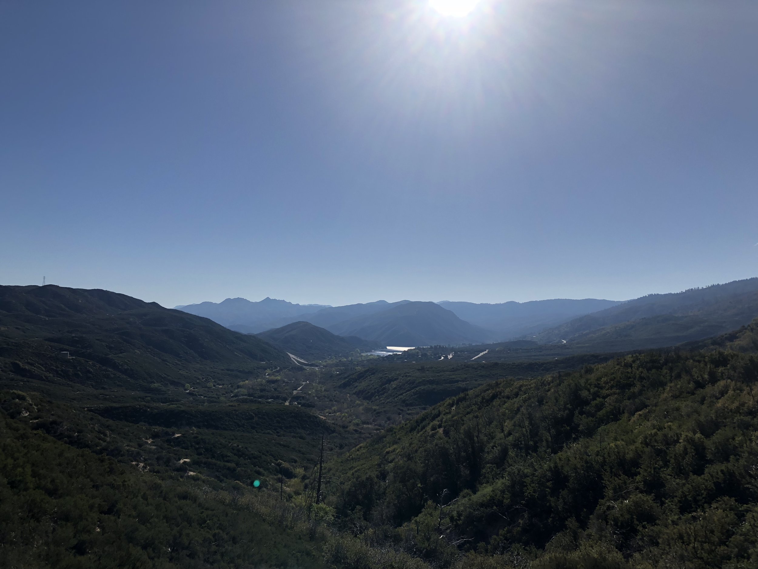 IMG_9449.jpeg