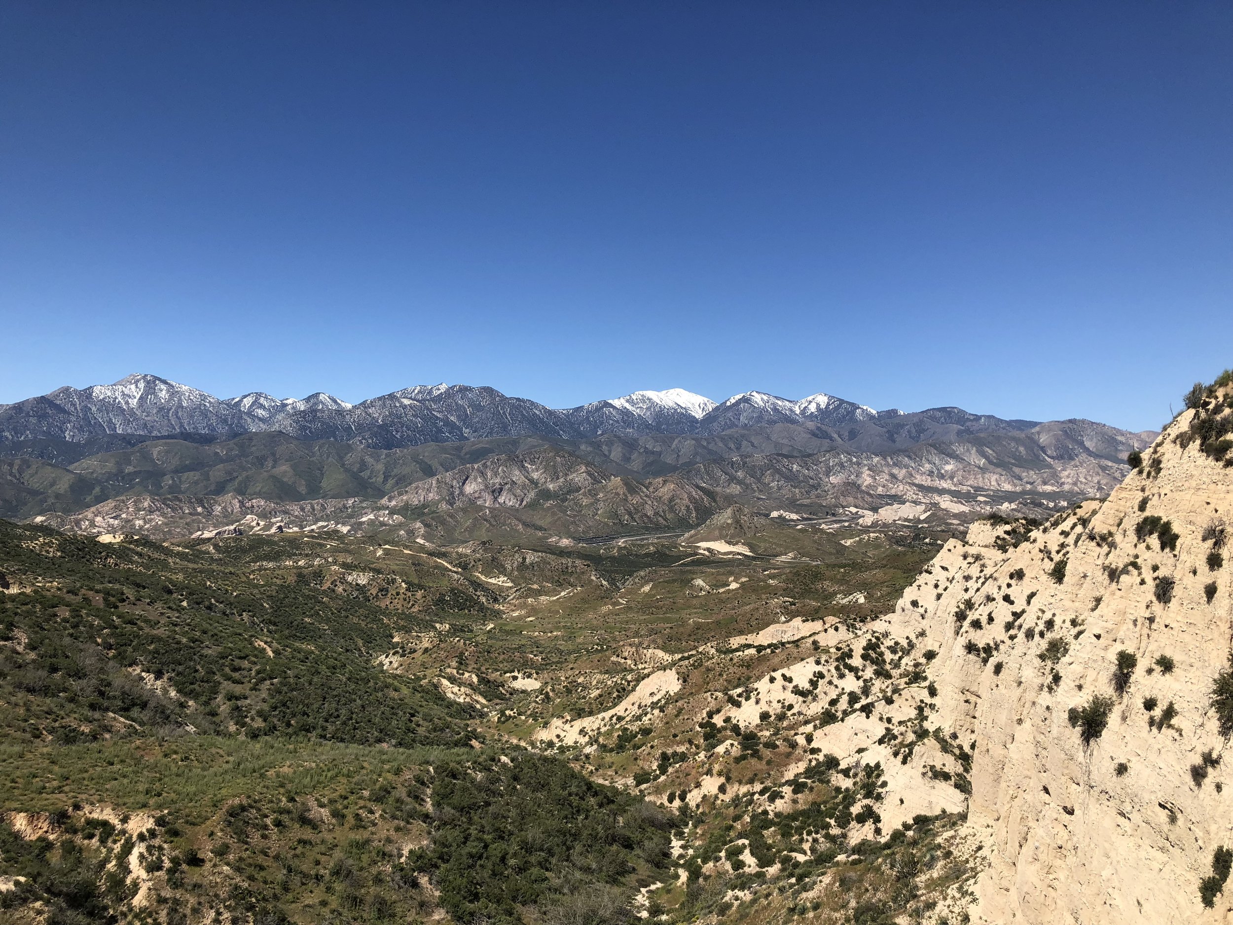 IMG_9451.jpeg