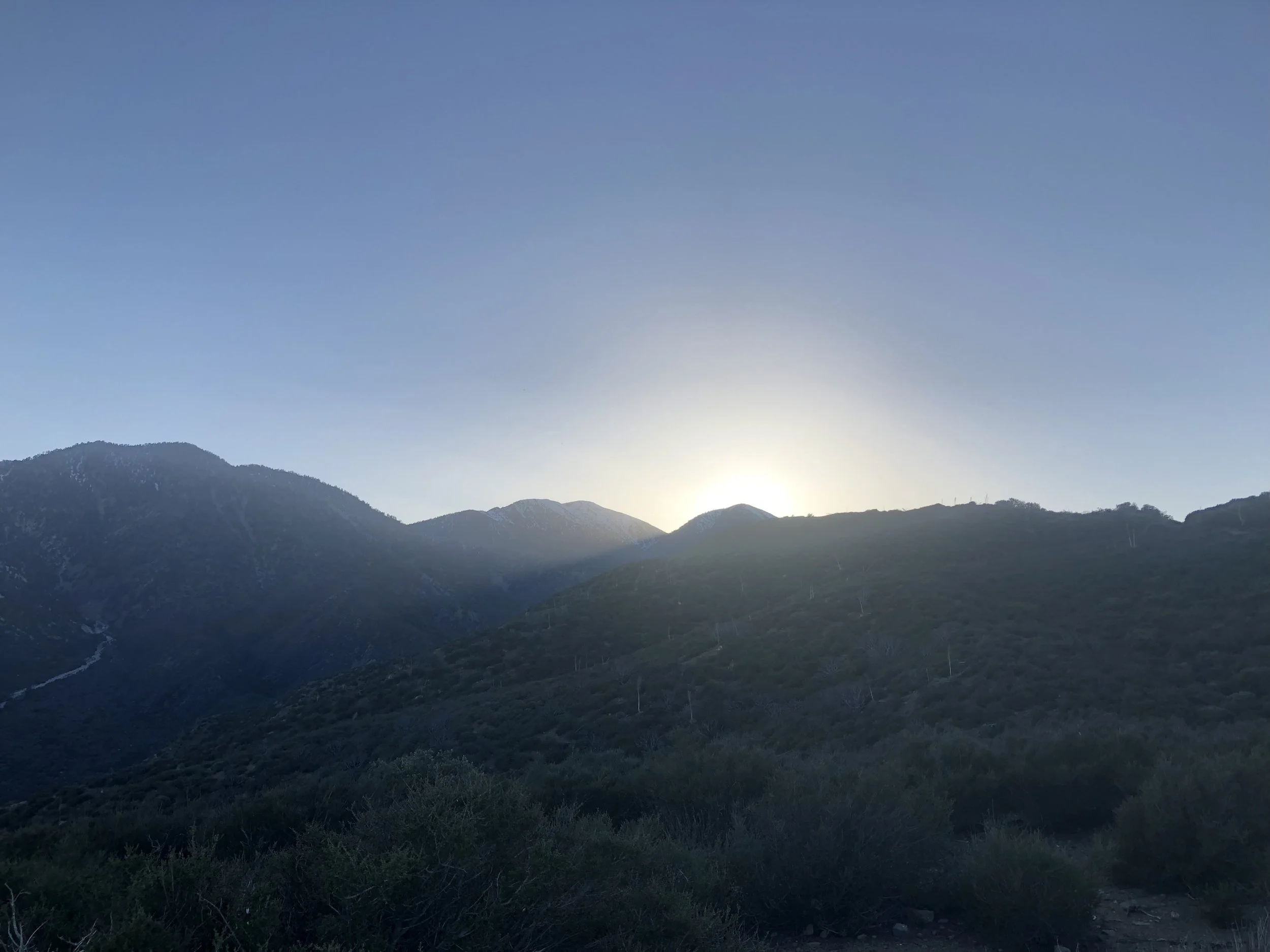IMG_9464.jpeg