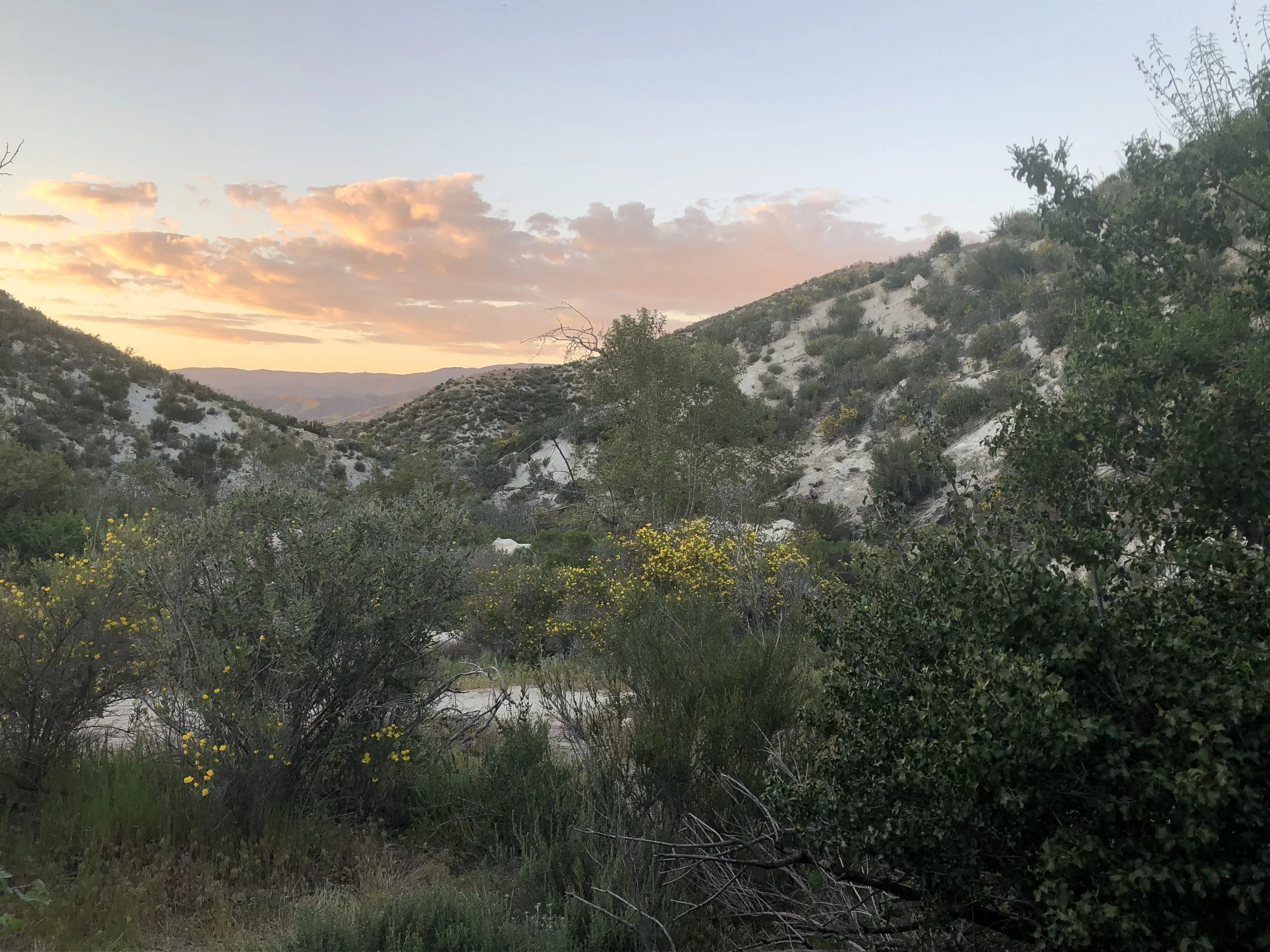 Day 26 - Mill Creek Fire Station to Mattox Canyon Creek