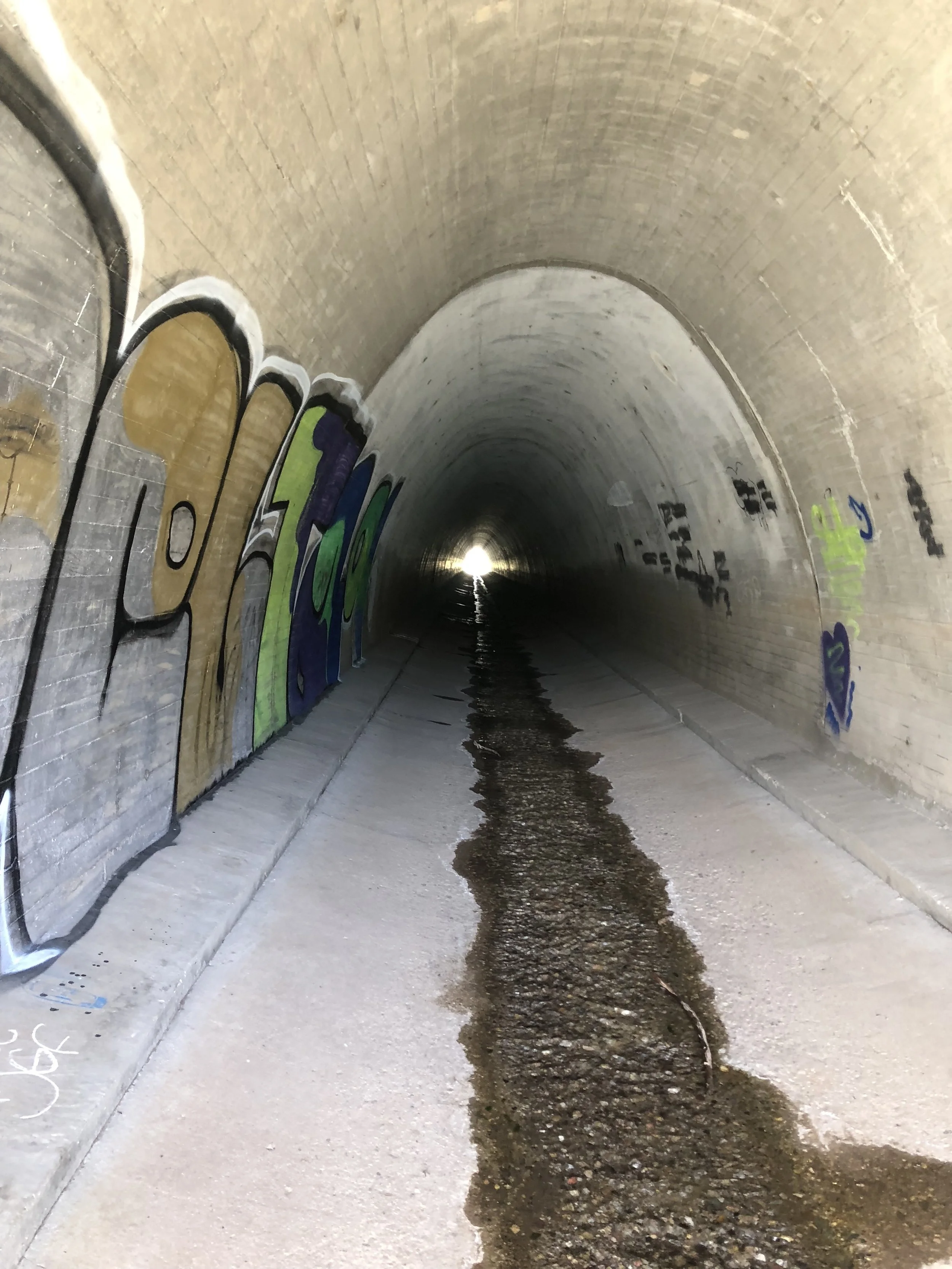 IMG_9584.jpeg