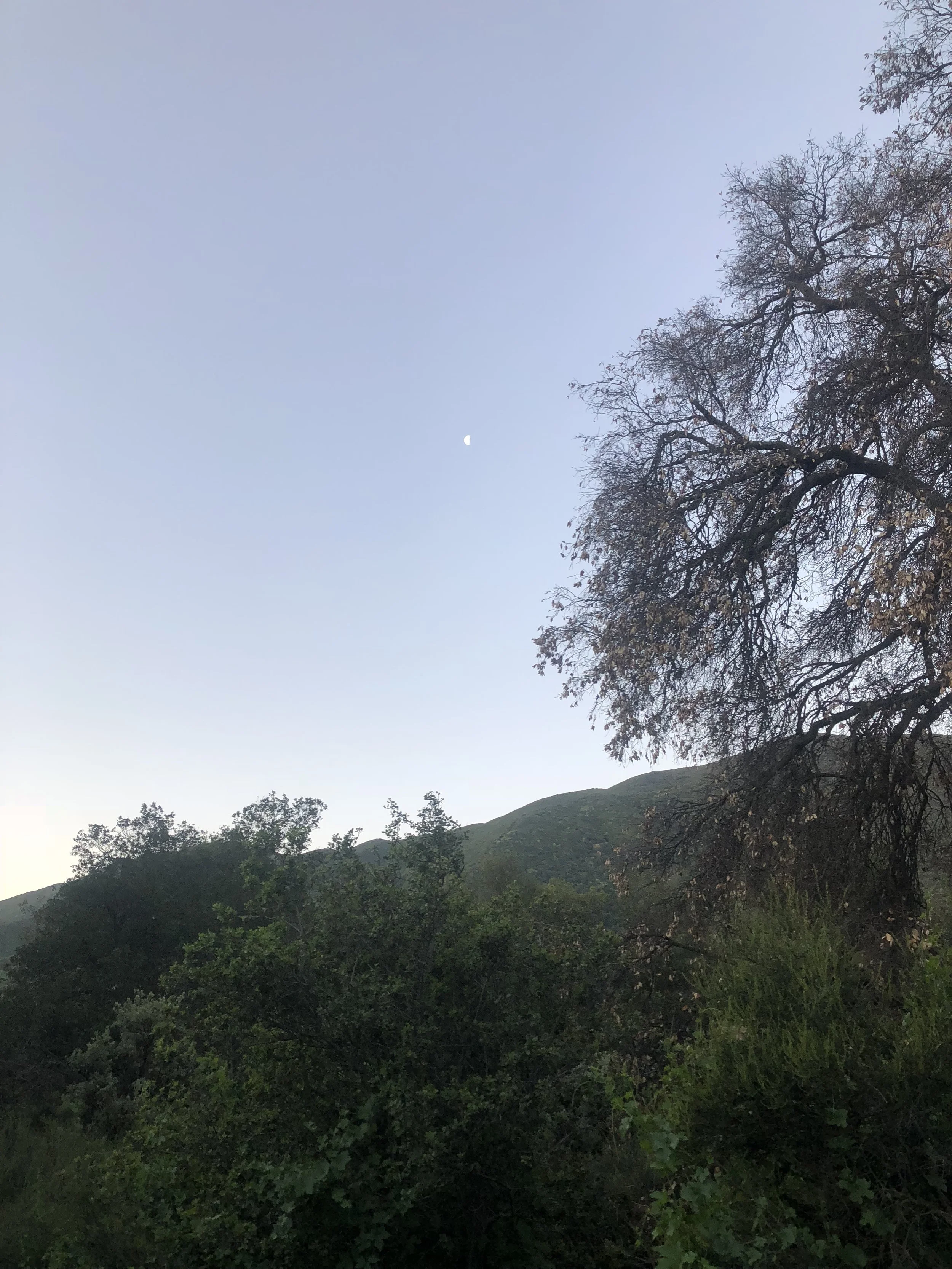 IMG_9623.jpeg