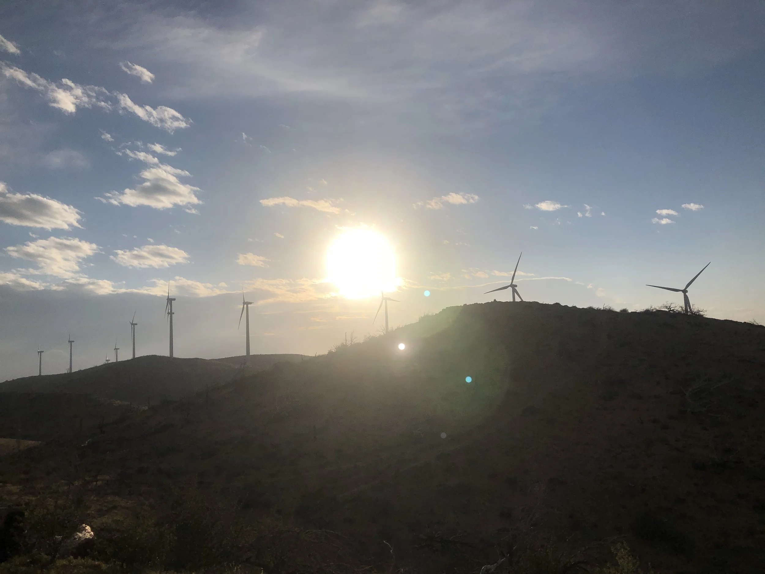 IMG_9693.jpeg