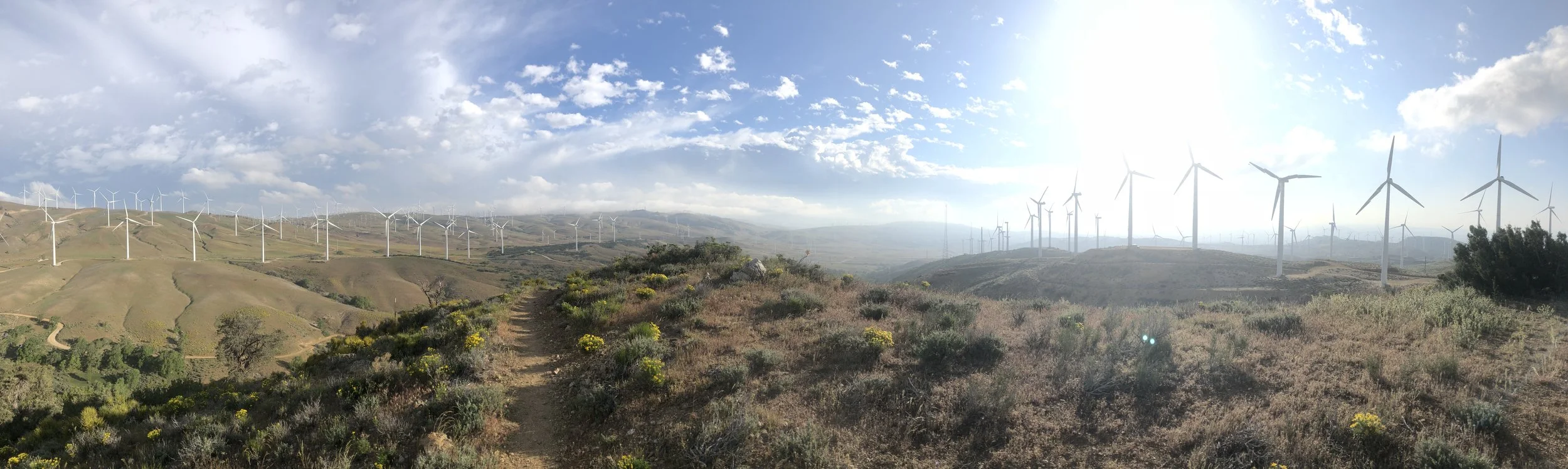 Day 33 - tehachapi hills to tehachapi