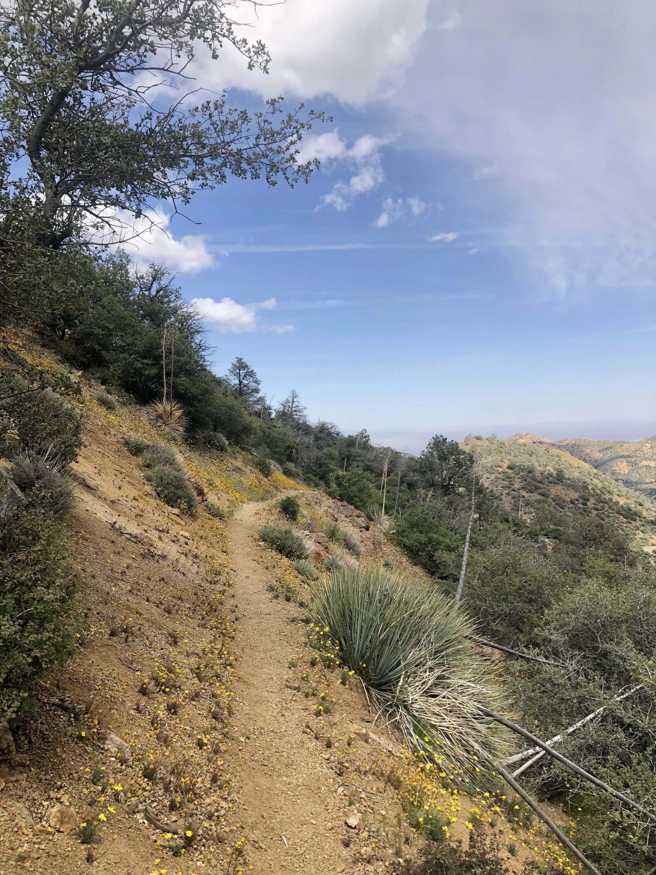 IMG_9722.jpeg