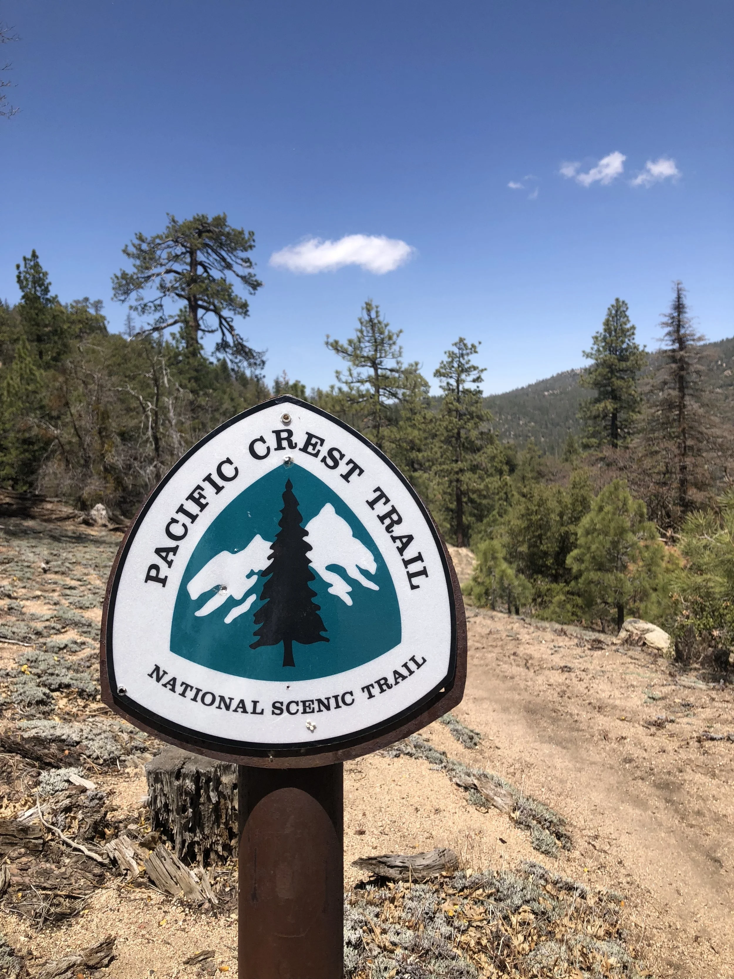 Day 36 - another wind farm to landers meadow spRing