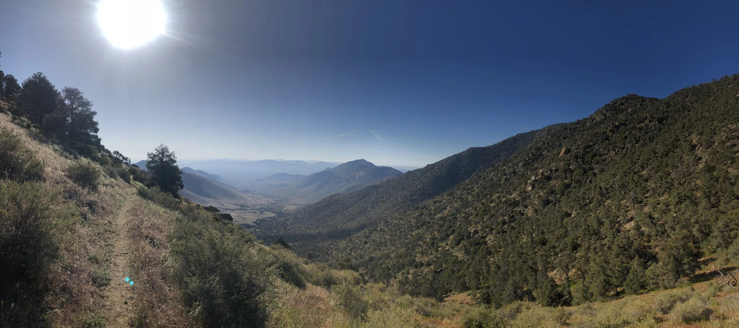 Day 38 - bIrd spRing pass to walker pass