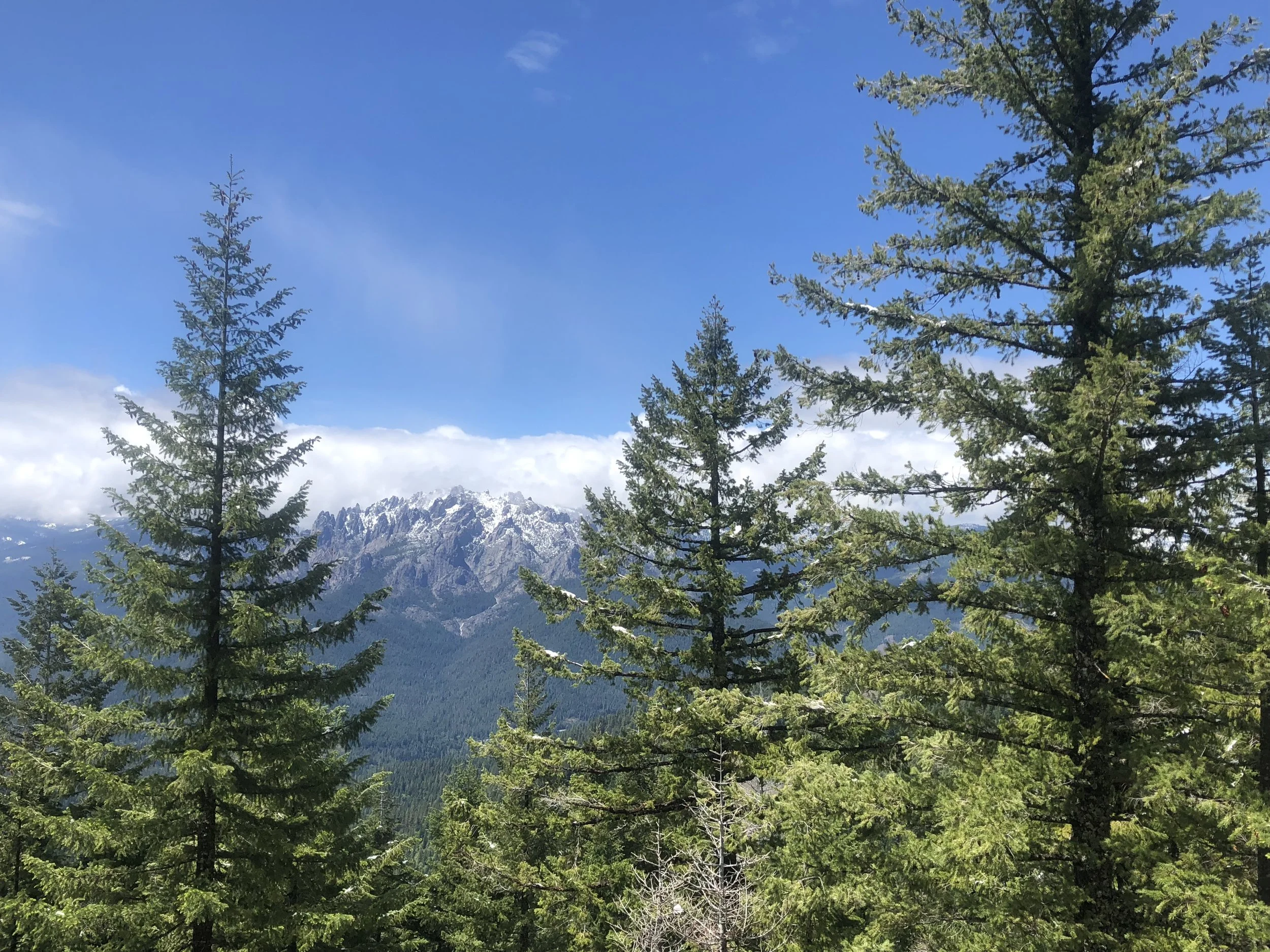 Day 53 - soda creek road to west trough creek
