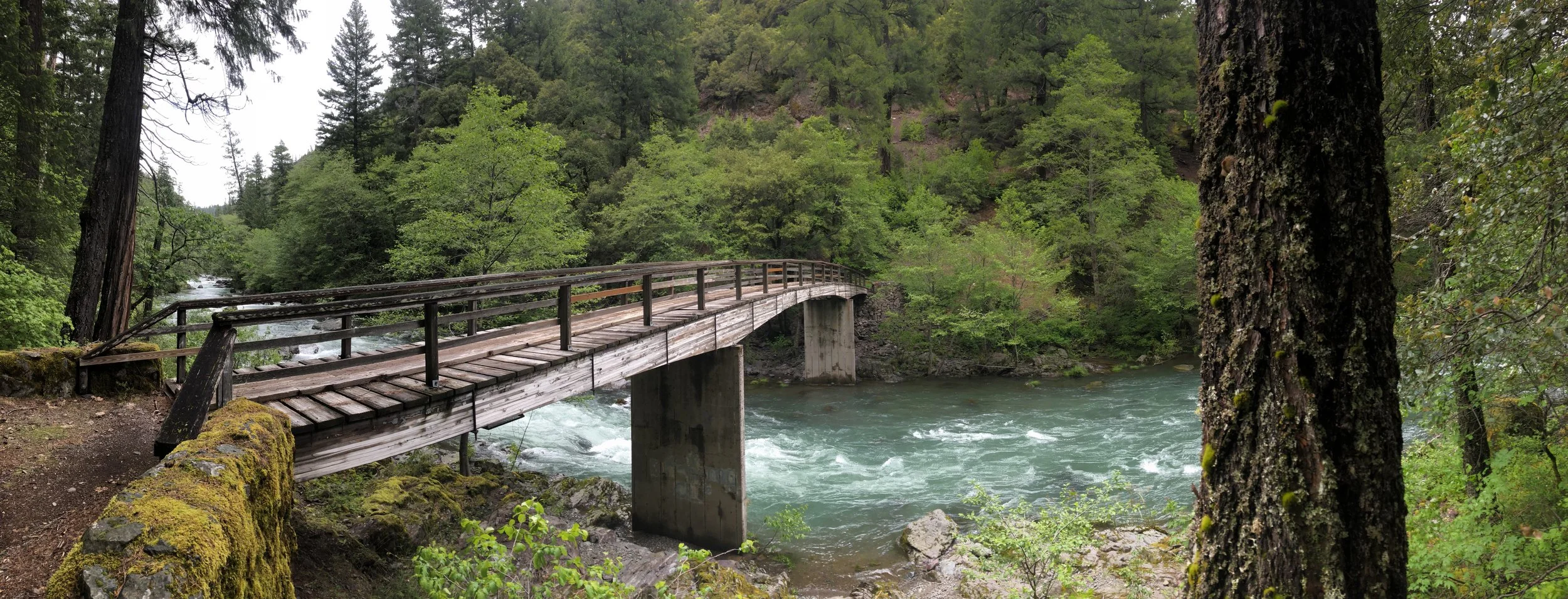 IMG_9874.jpeg