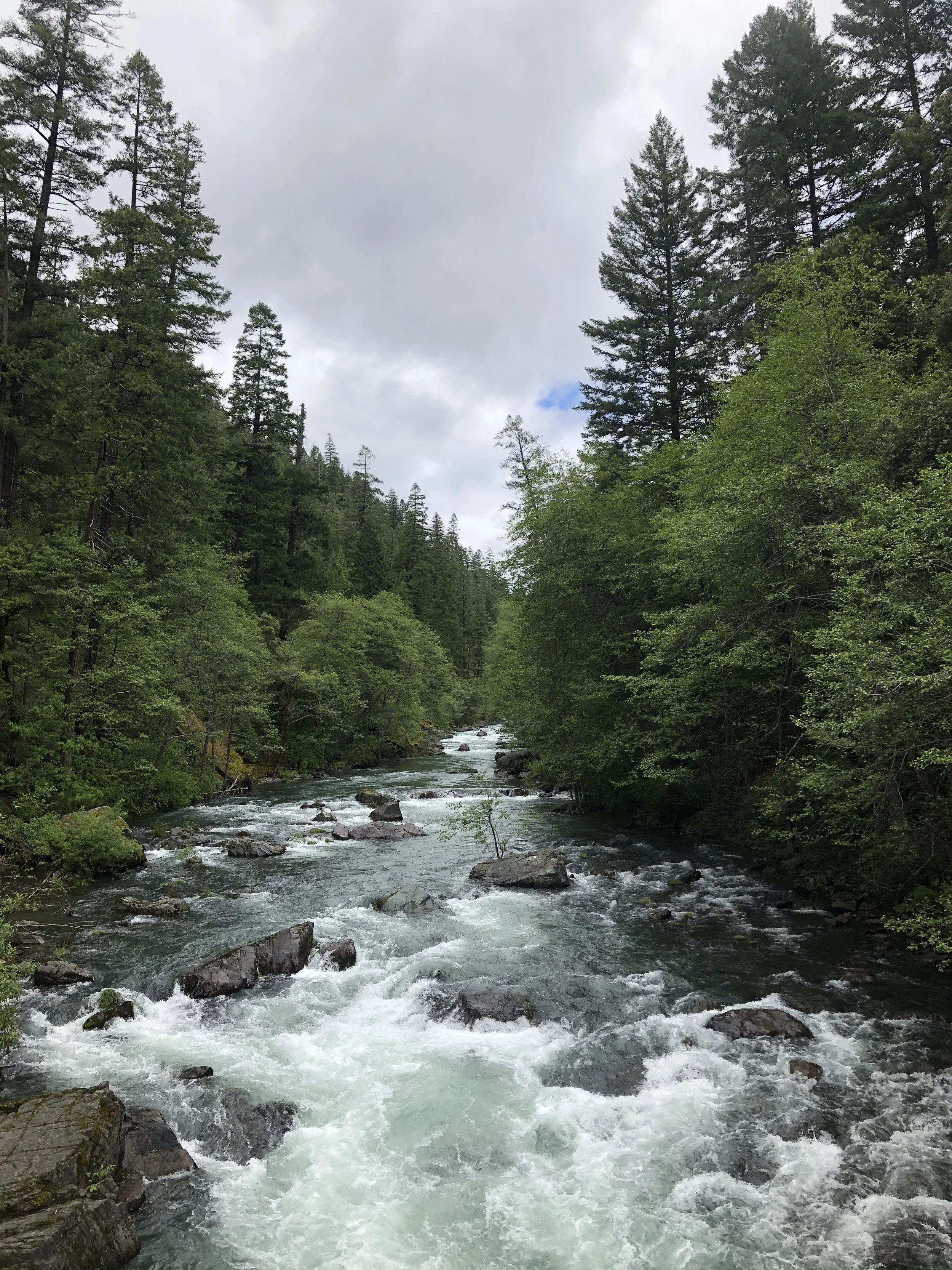 Day 54 - west tRough creek to forest road