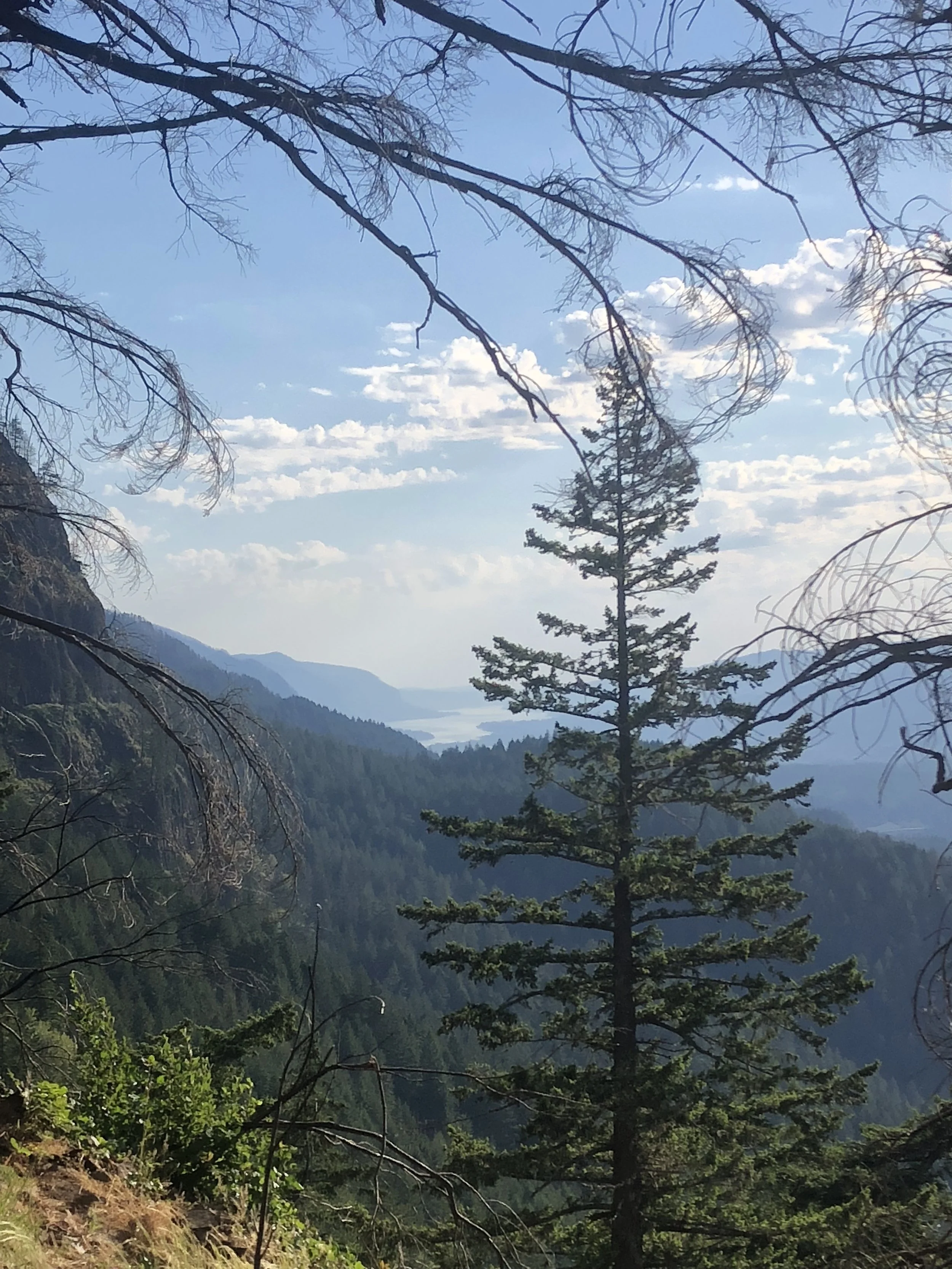IMG_0108.jpeg