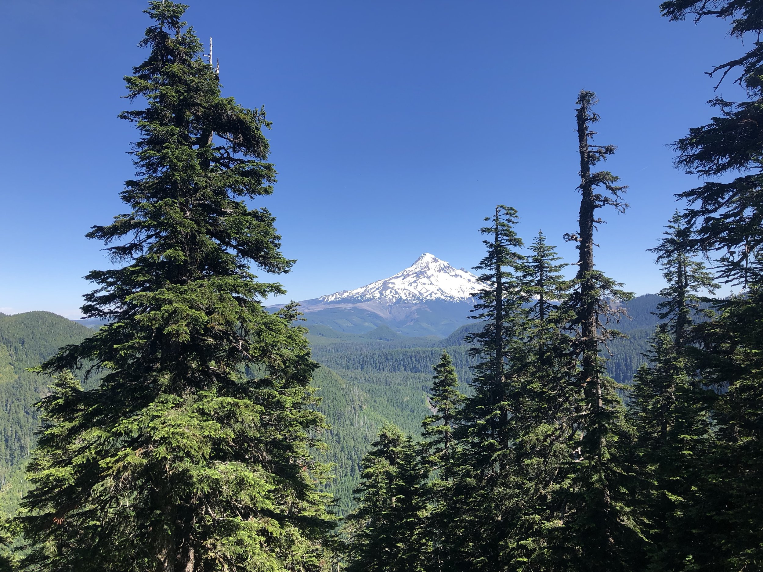 IMG_0138.jpeg
