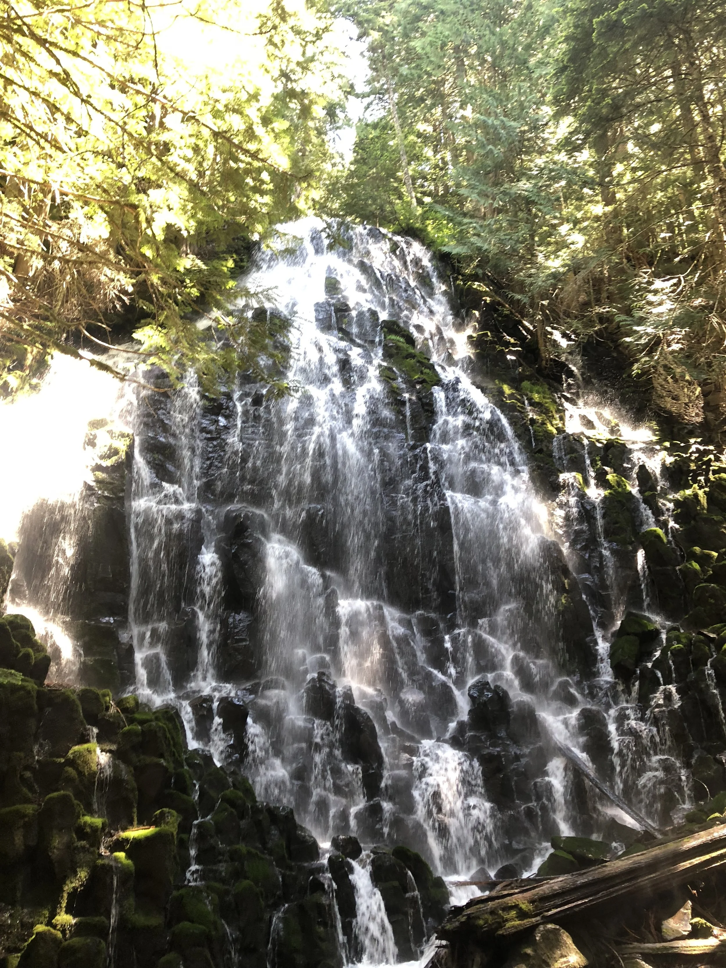 IMG_0148.jpeg