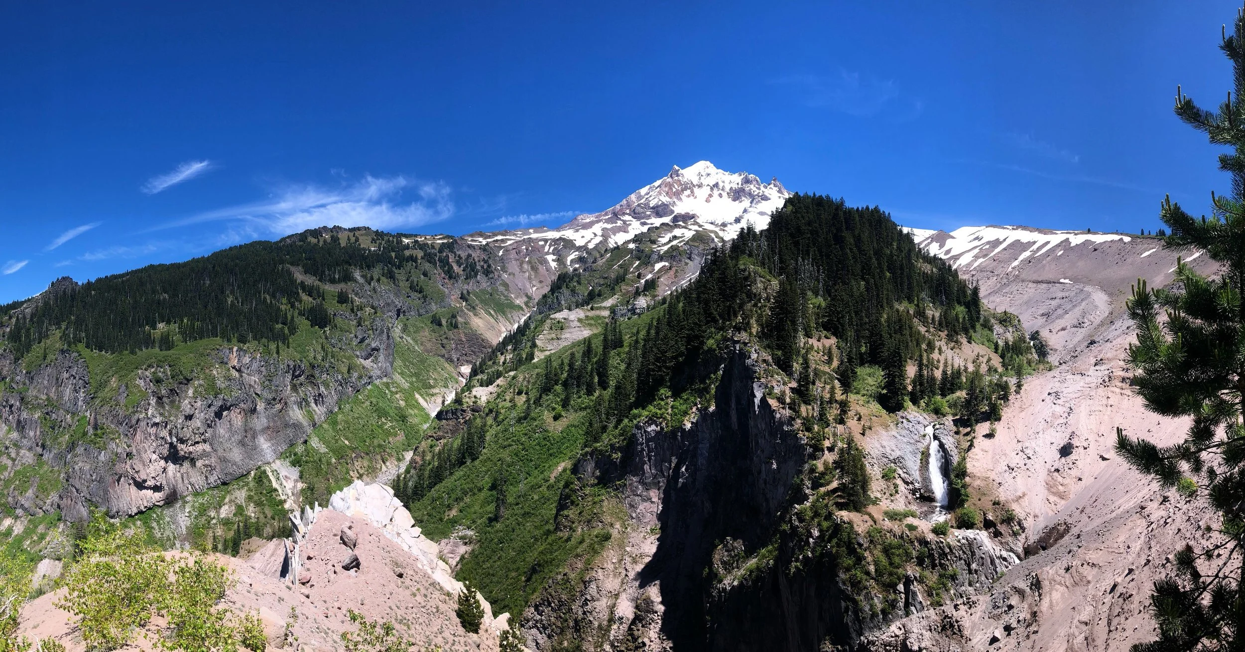 B6786A22-C55C-4646-9F72-B68460D4BD43.jpeg