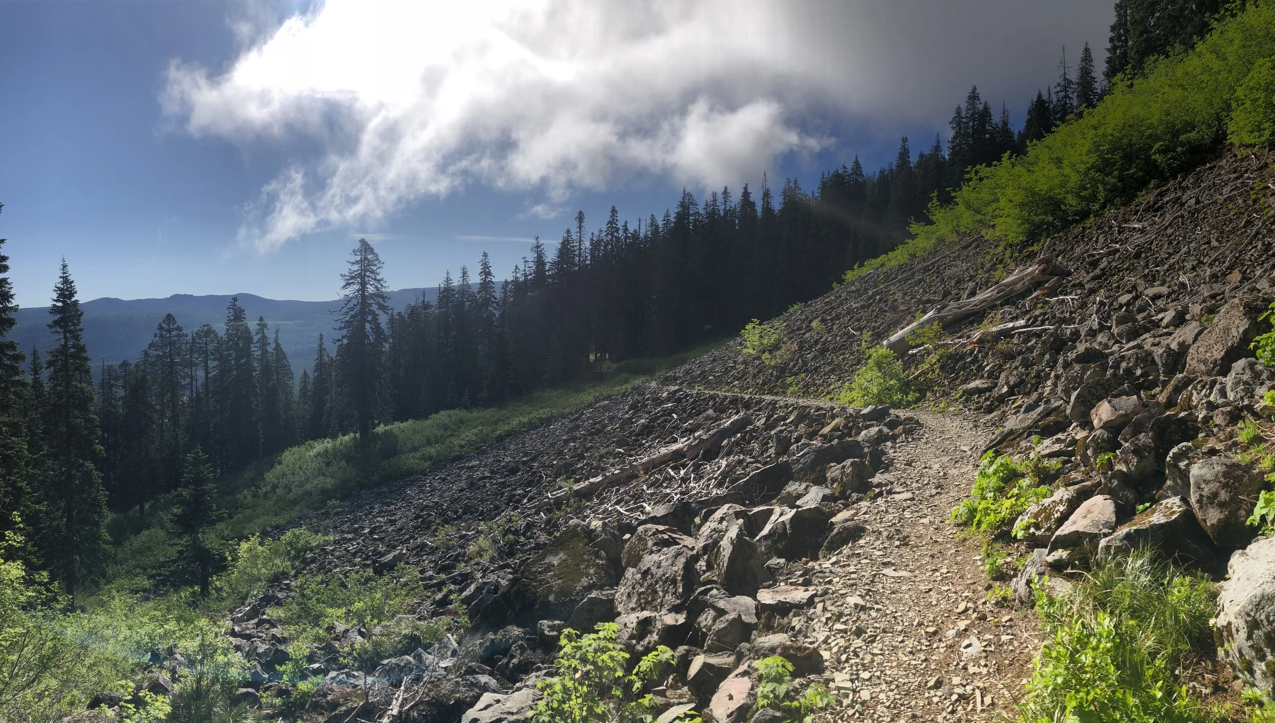 Day 66 - huckleberry mtn. Trail junction to timberline loDge