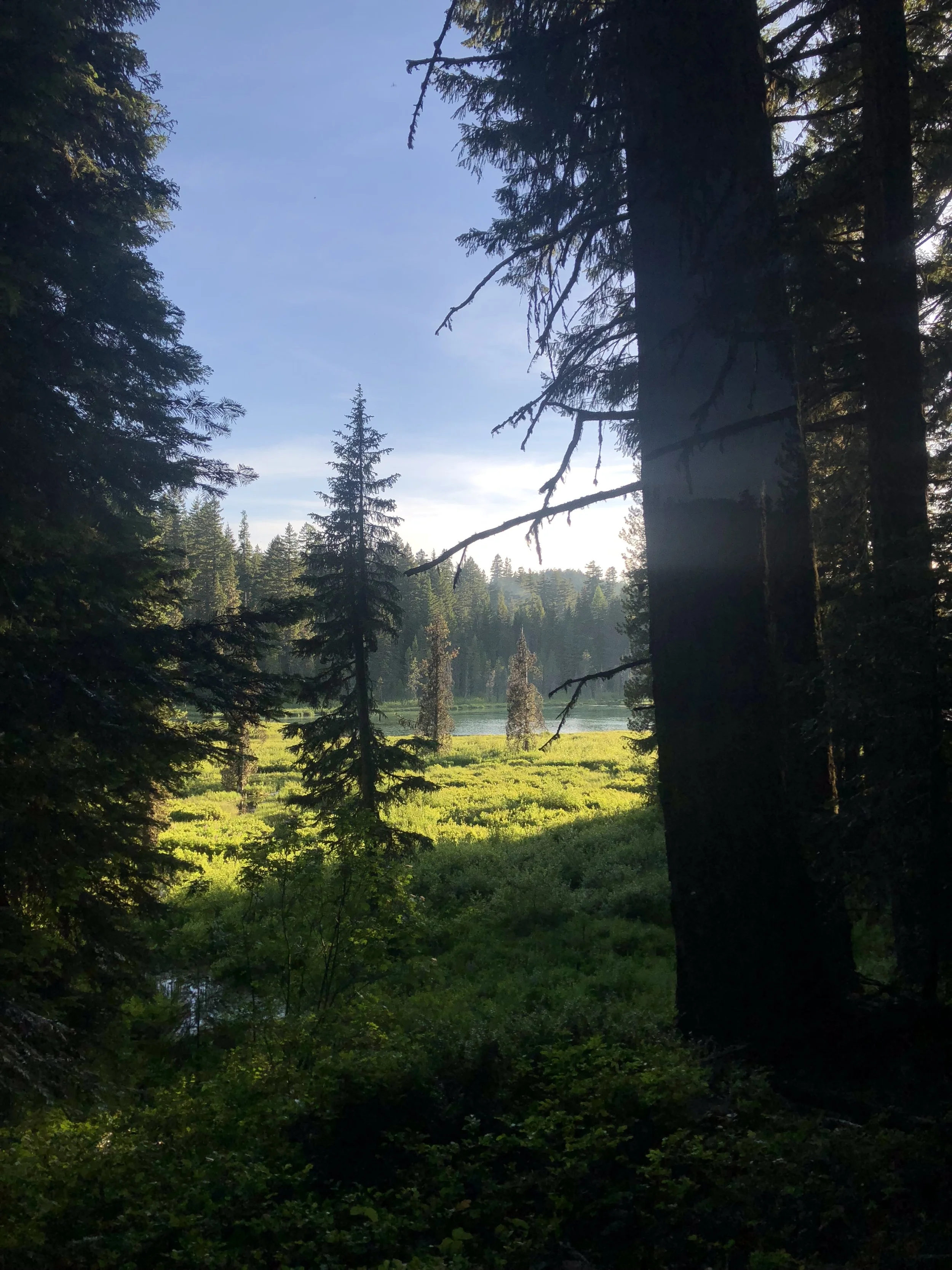 IMG_0190.jpeg