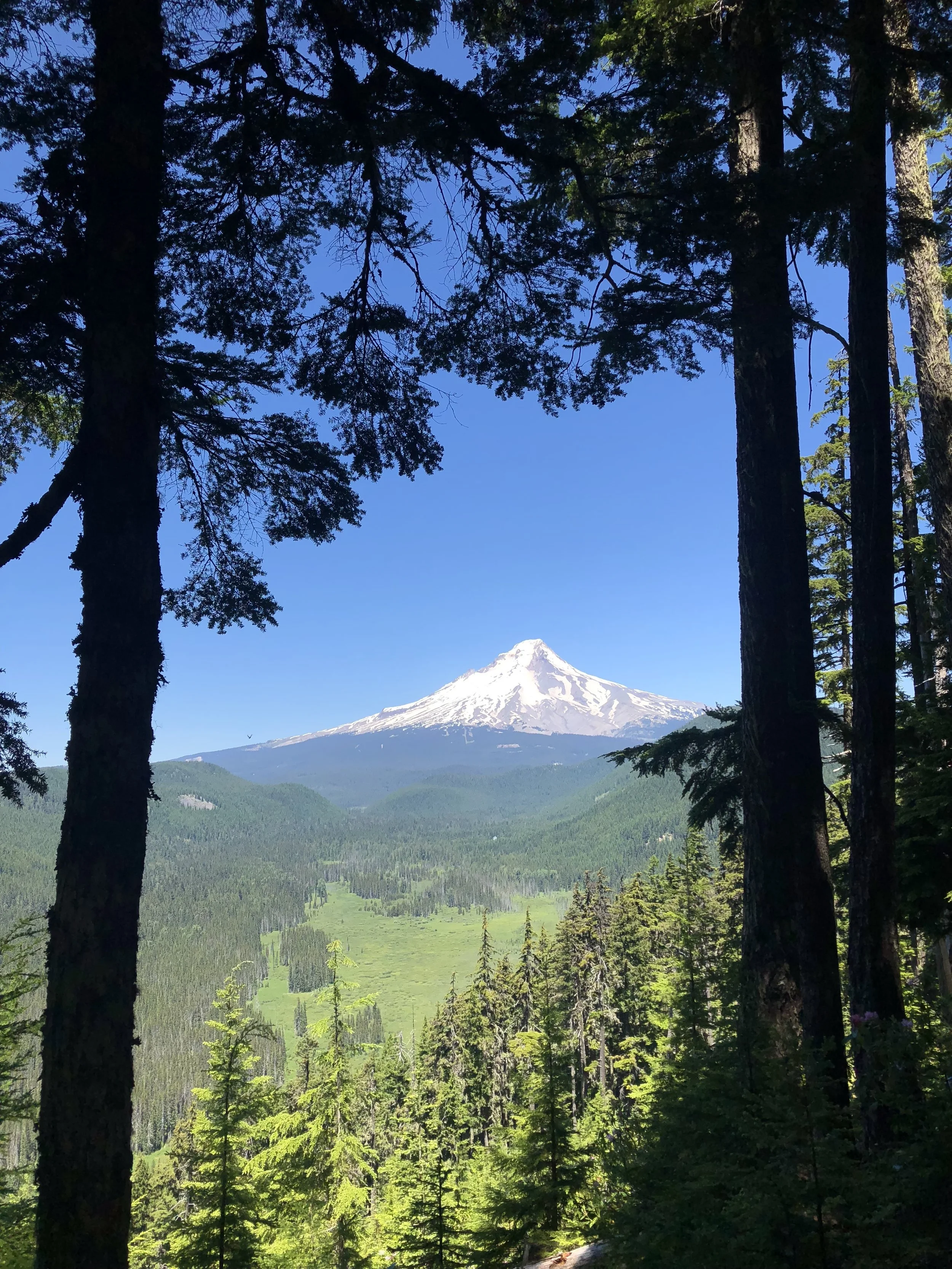 Day 67 - tiMberline lodGe tO wilson rd.