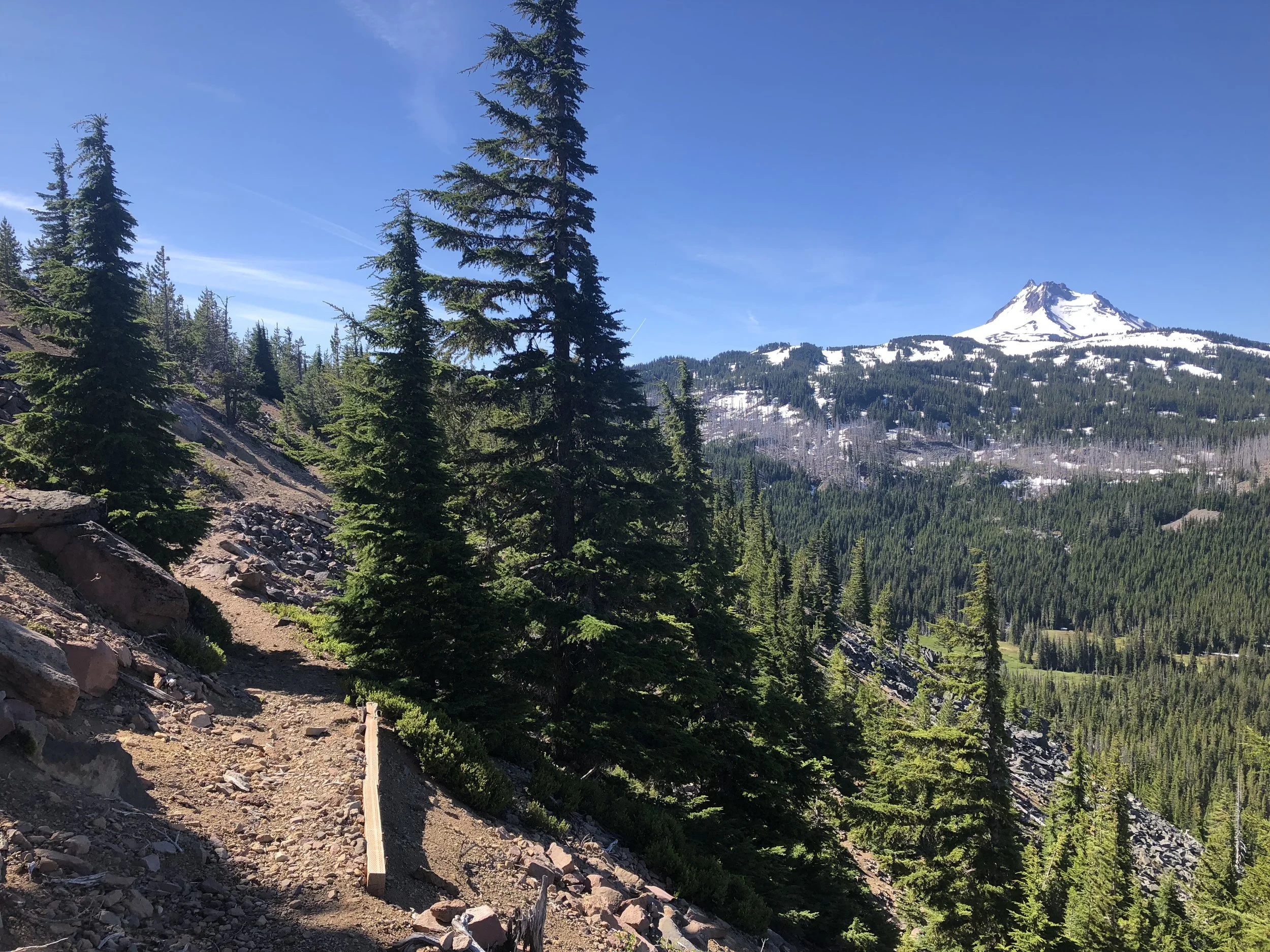 IMG_0218.jpeg