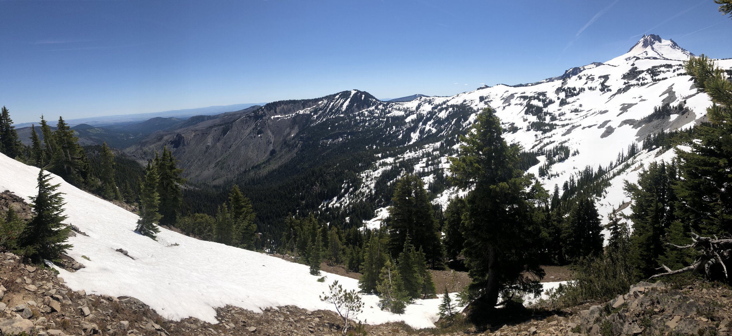 IMG_0221.jpeg