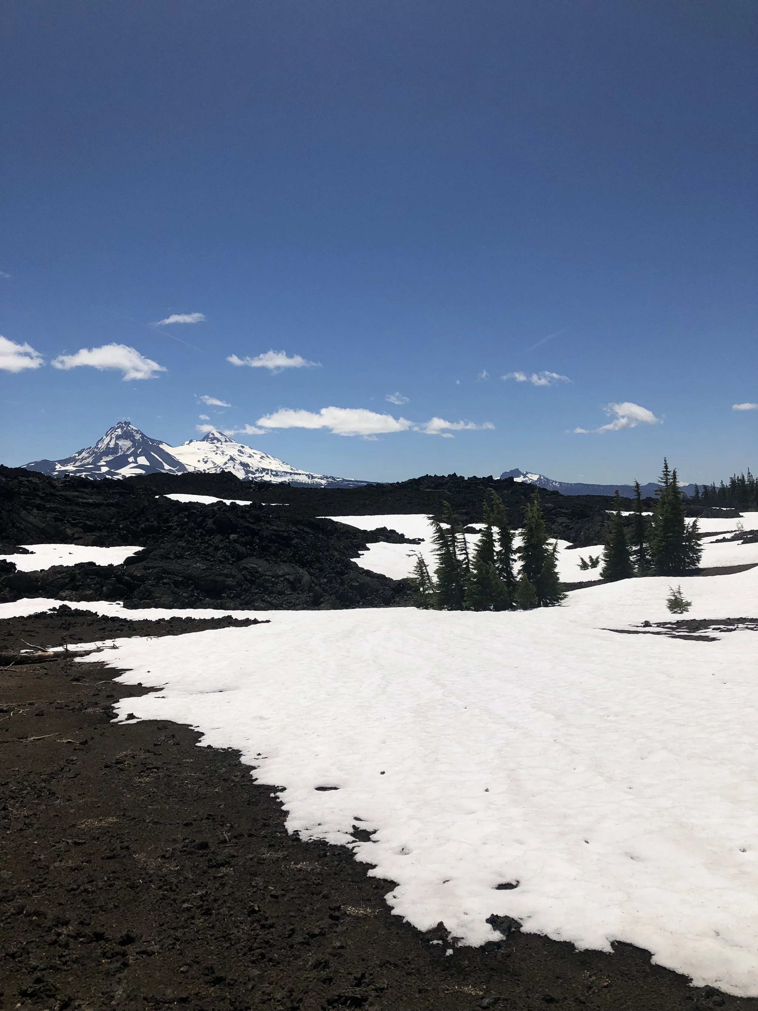 IMG_0261.jpeg