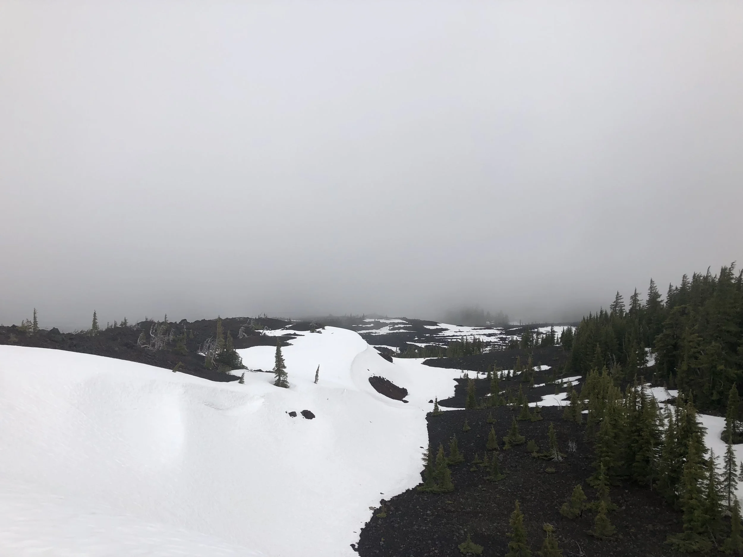 IMG_0286.jpeg