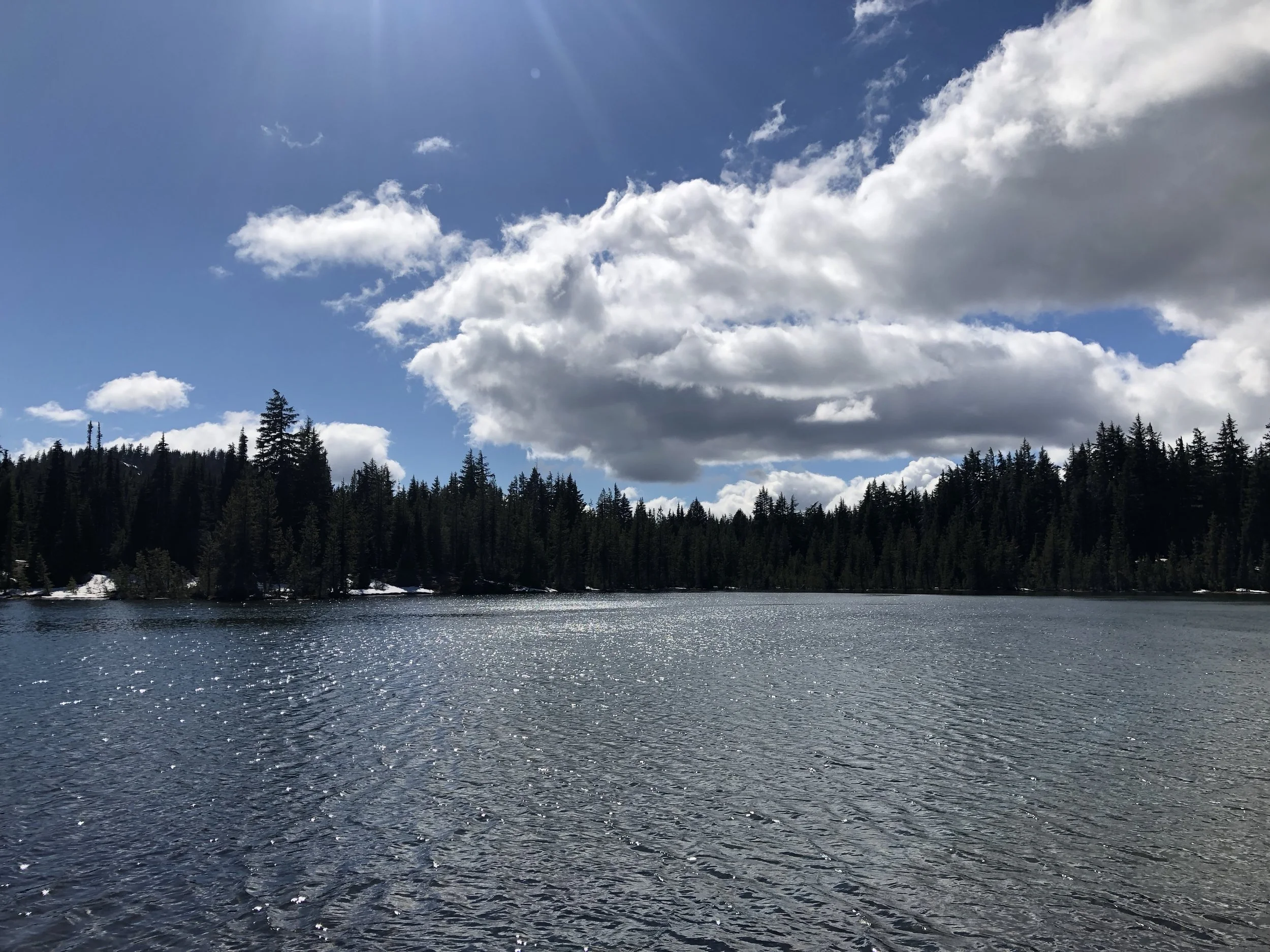 IMG_0290.jpeg