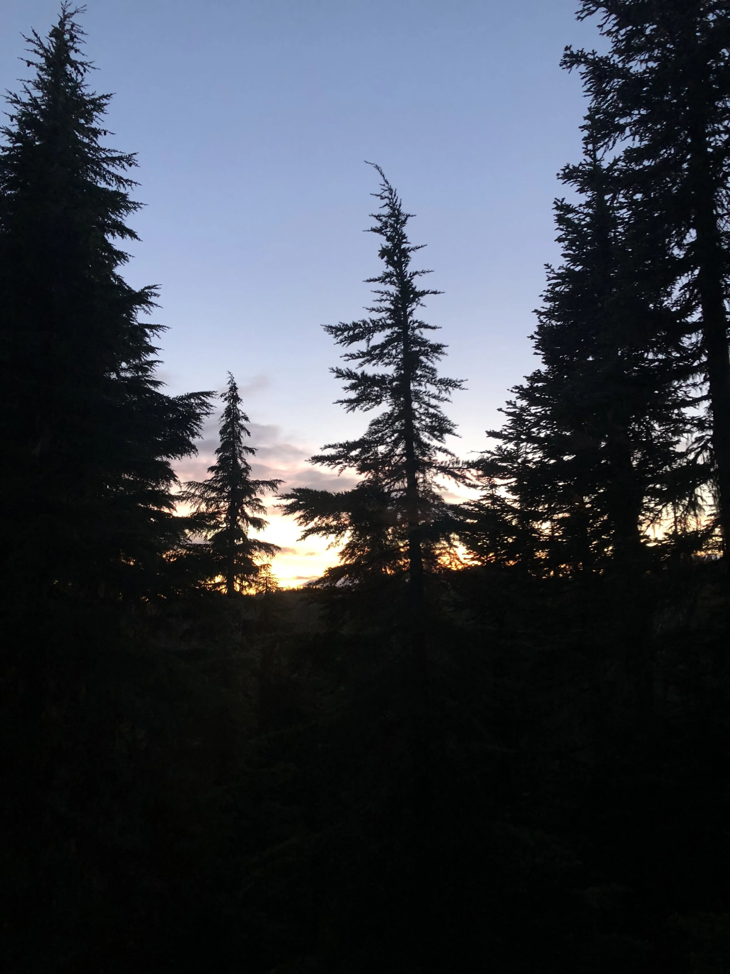IMG_0305.jpeg