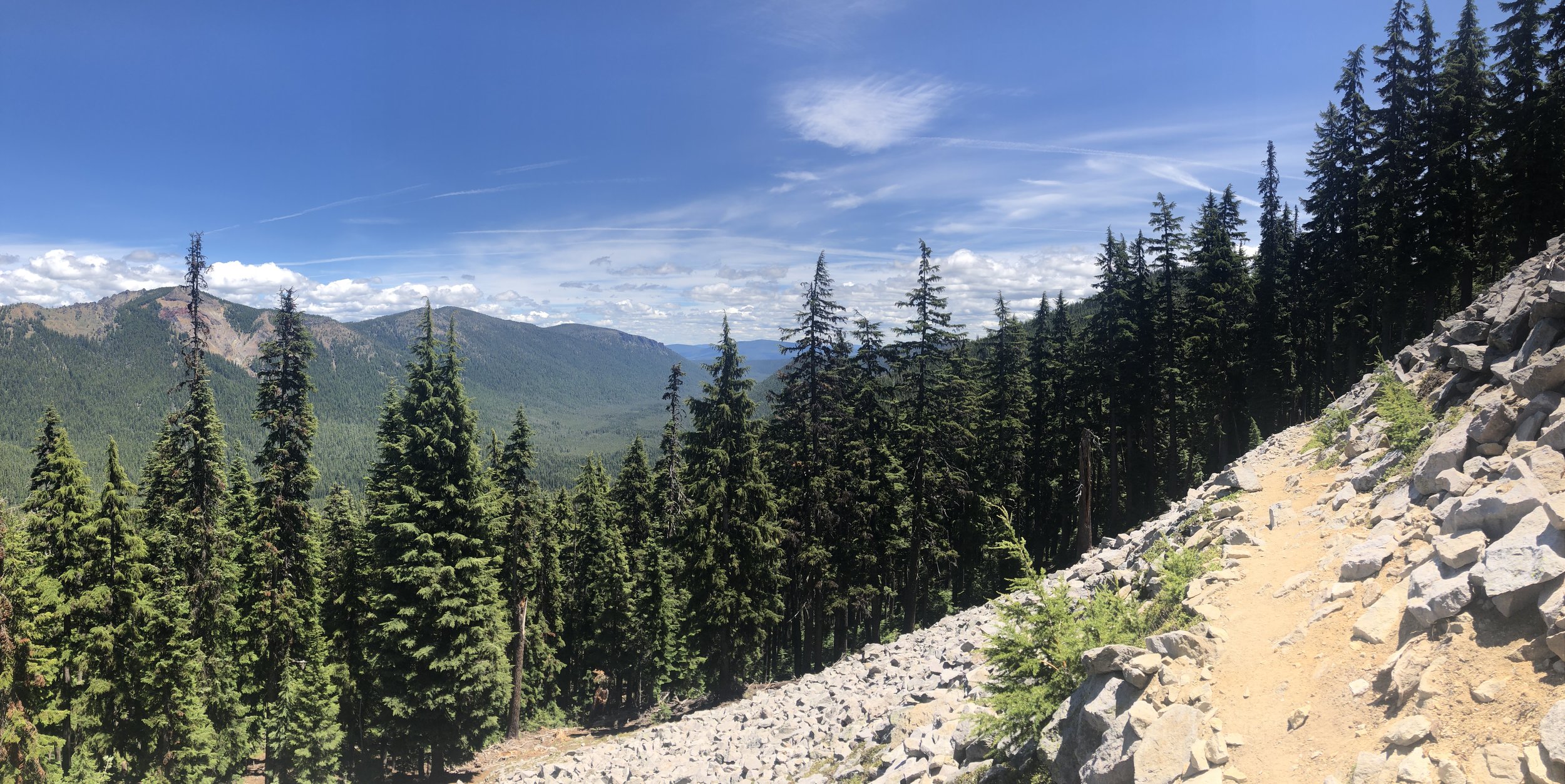 IMG_0344.jpeg