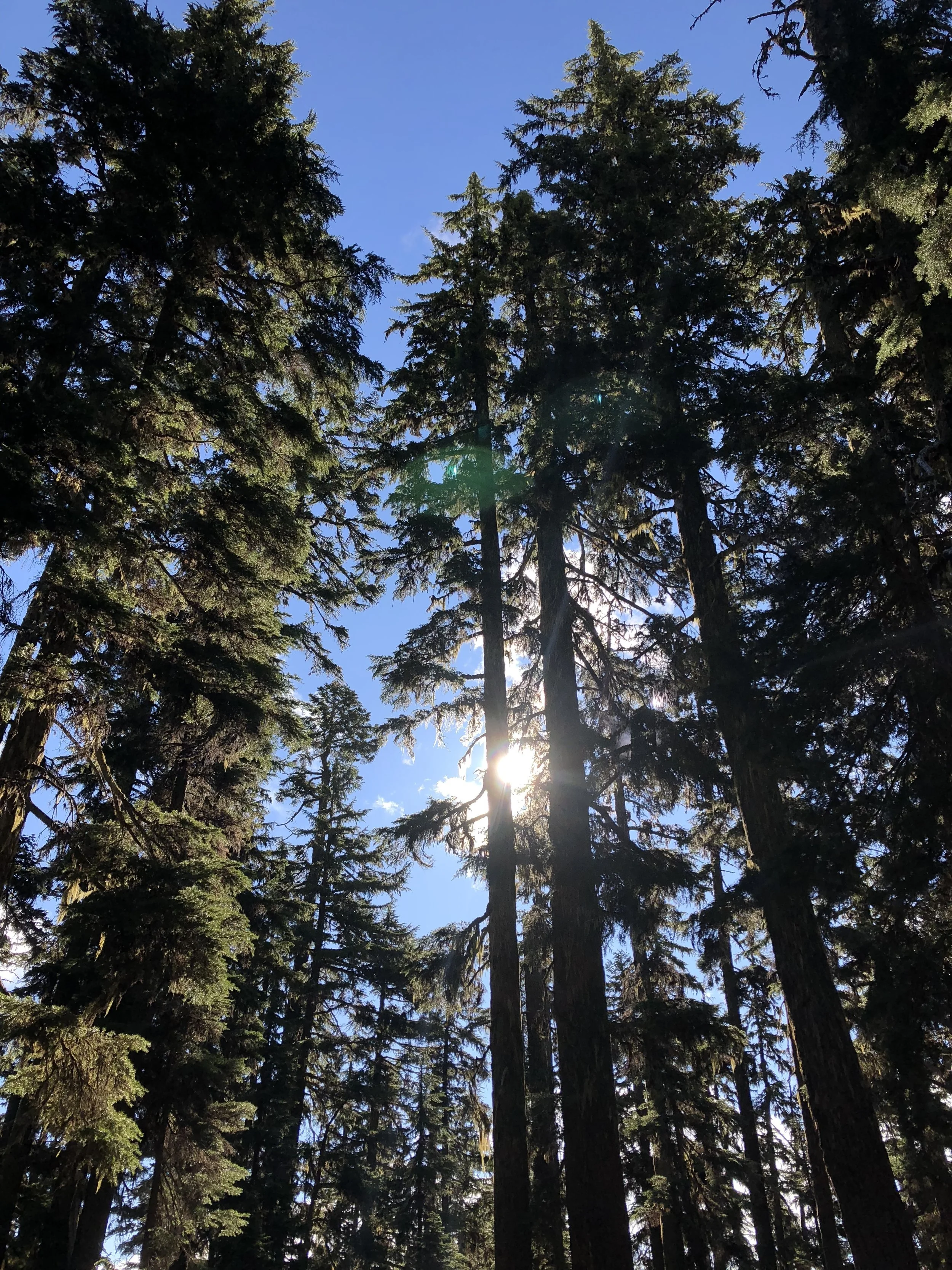 IMG_0436.jpeg