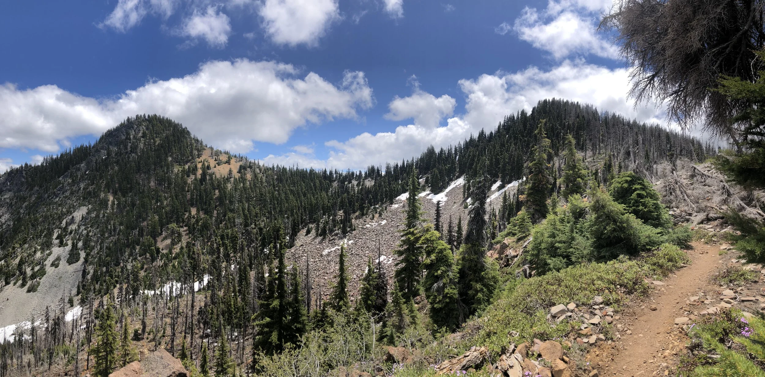 IMG_0441.jpeg