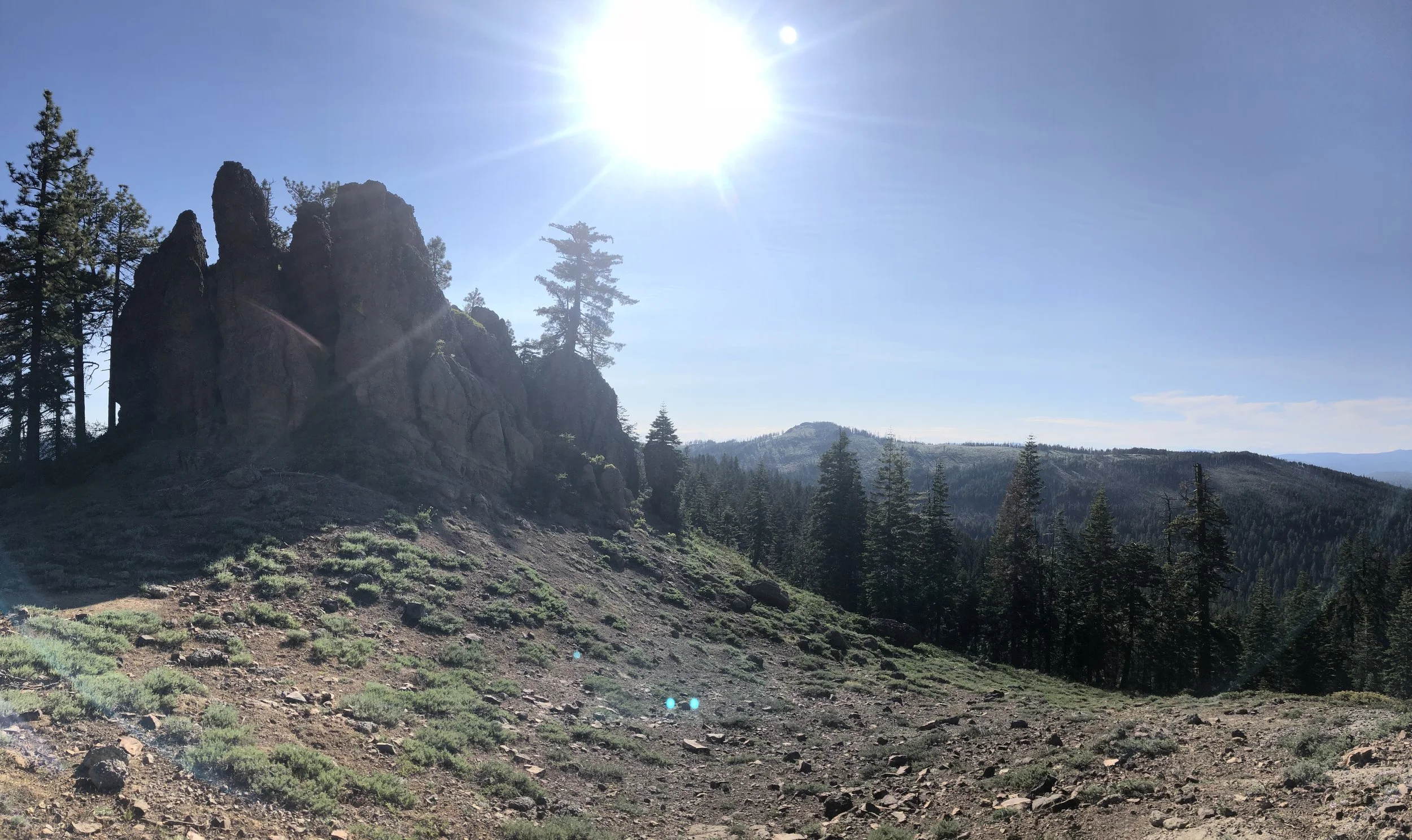 IMG_0503.jpeg