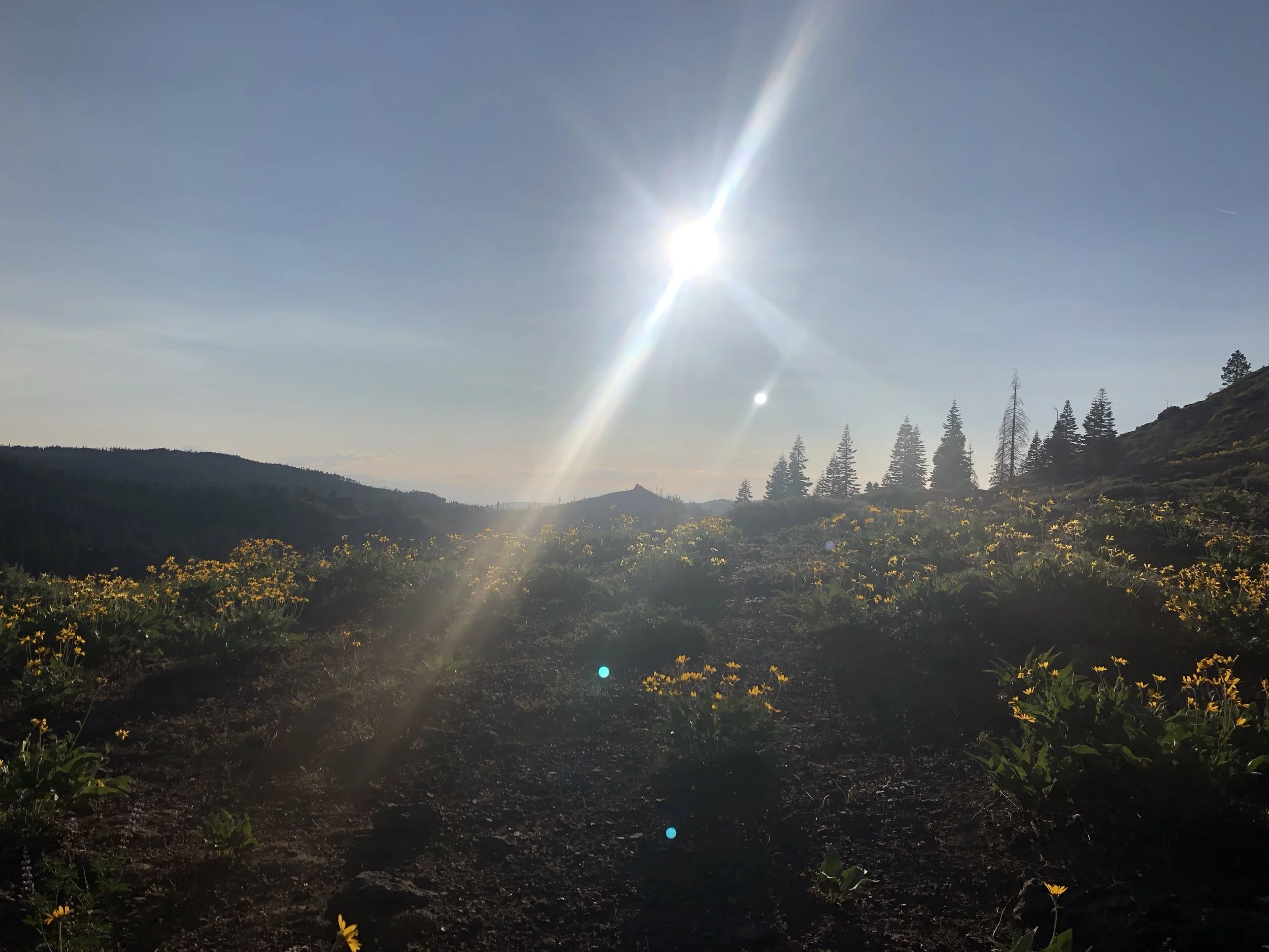IMG_0507.jpeg